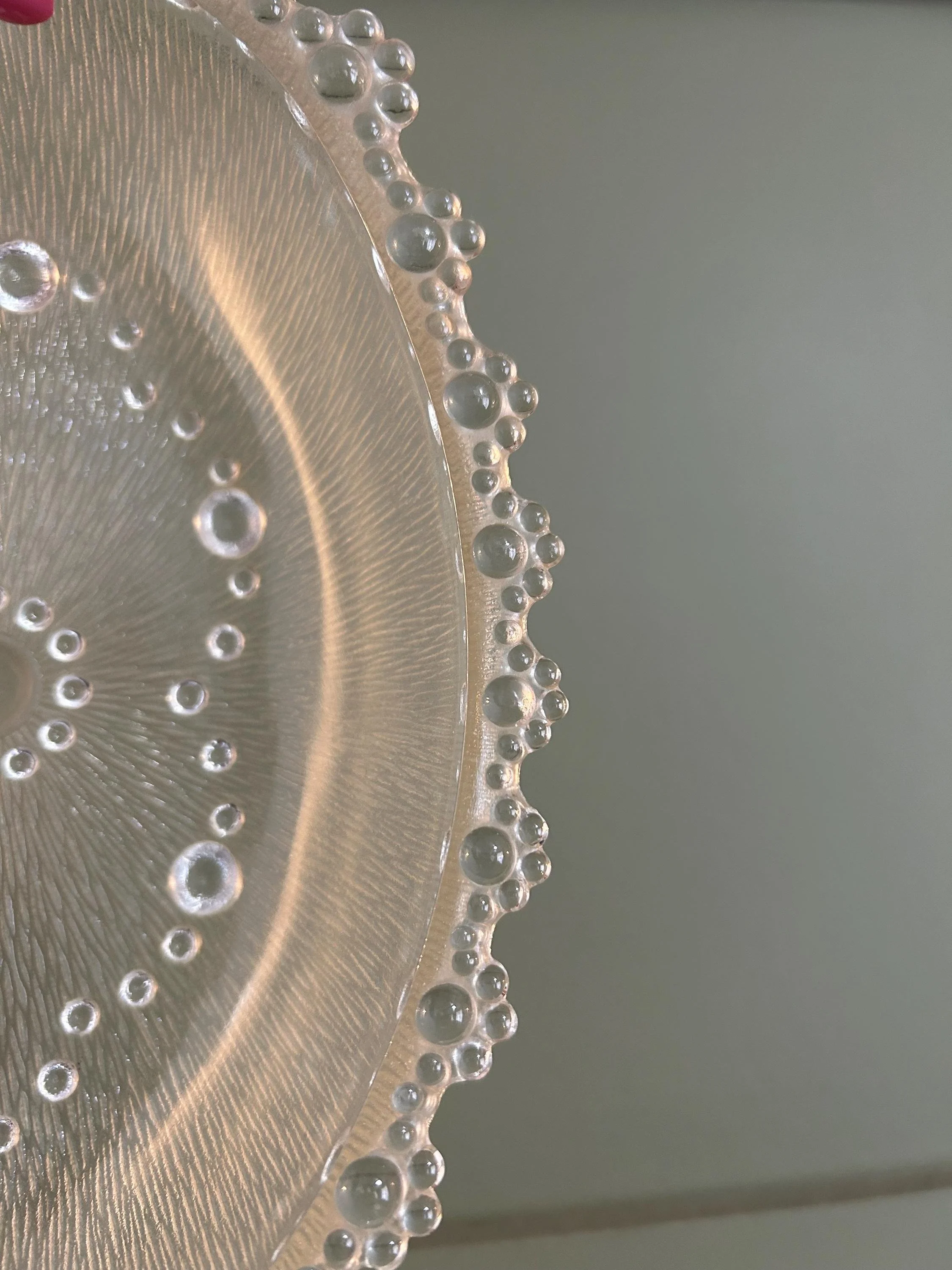 Overhead shot highlighting bark glass texture pattern