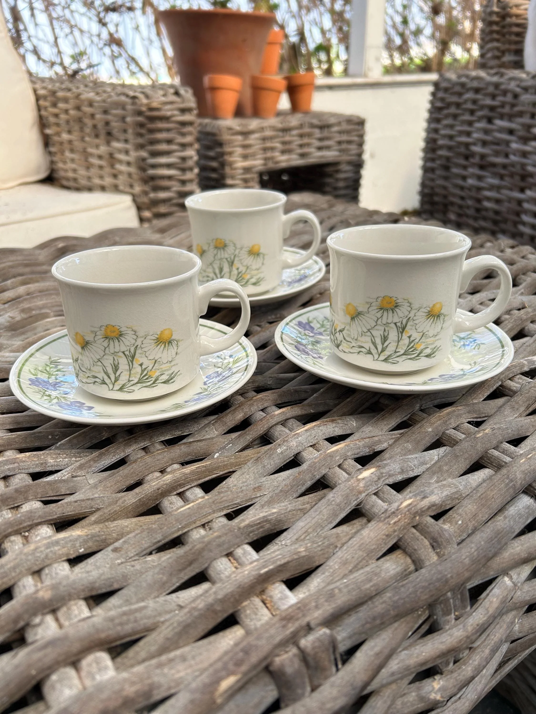 Churchill Duo Tea Cup & Saucer Set | Chamomile & Herb Design | Set of 3 | Made in England | 1980s Vintage Tableware
