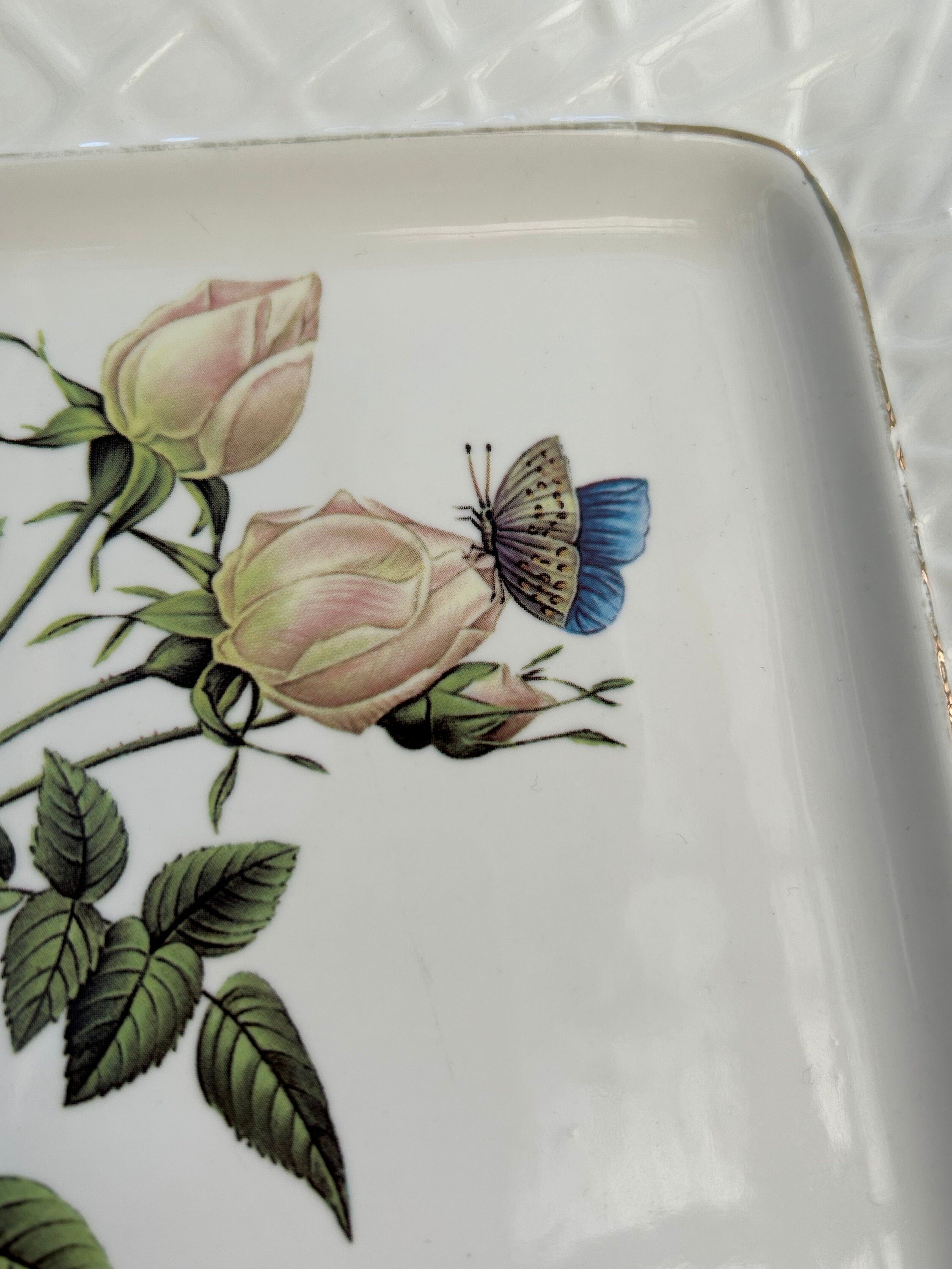 Close-up of blush pink rosebuds and blue butterfly in delicate illustration style
