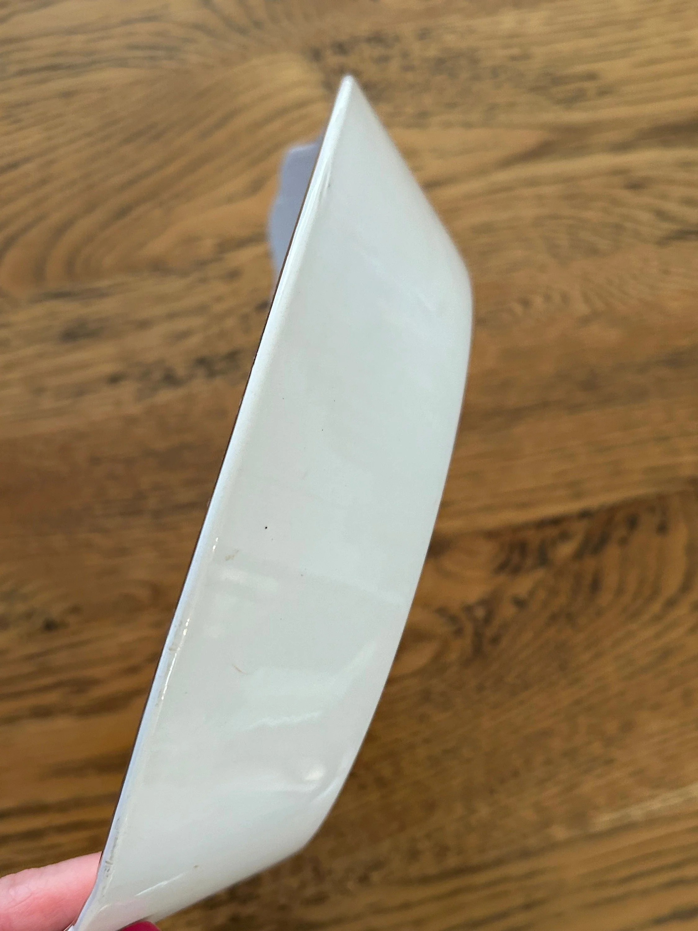 Side profile showing depth and gently curved edge of the dish