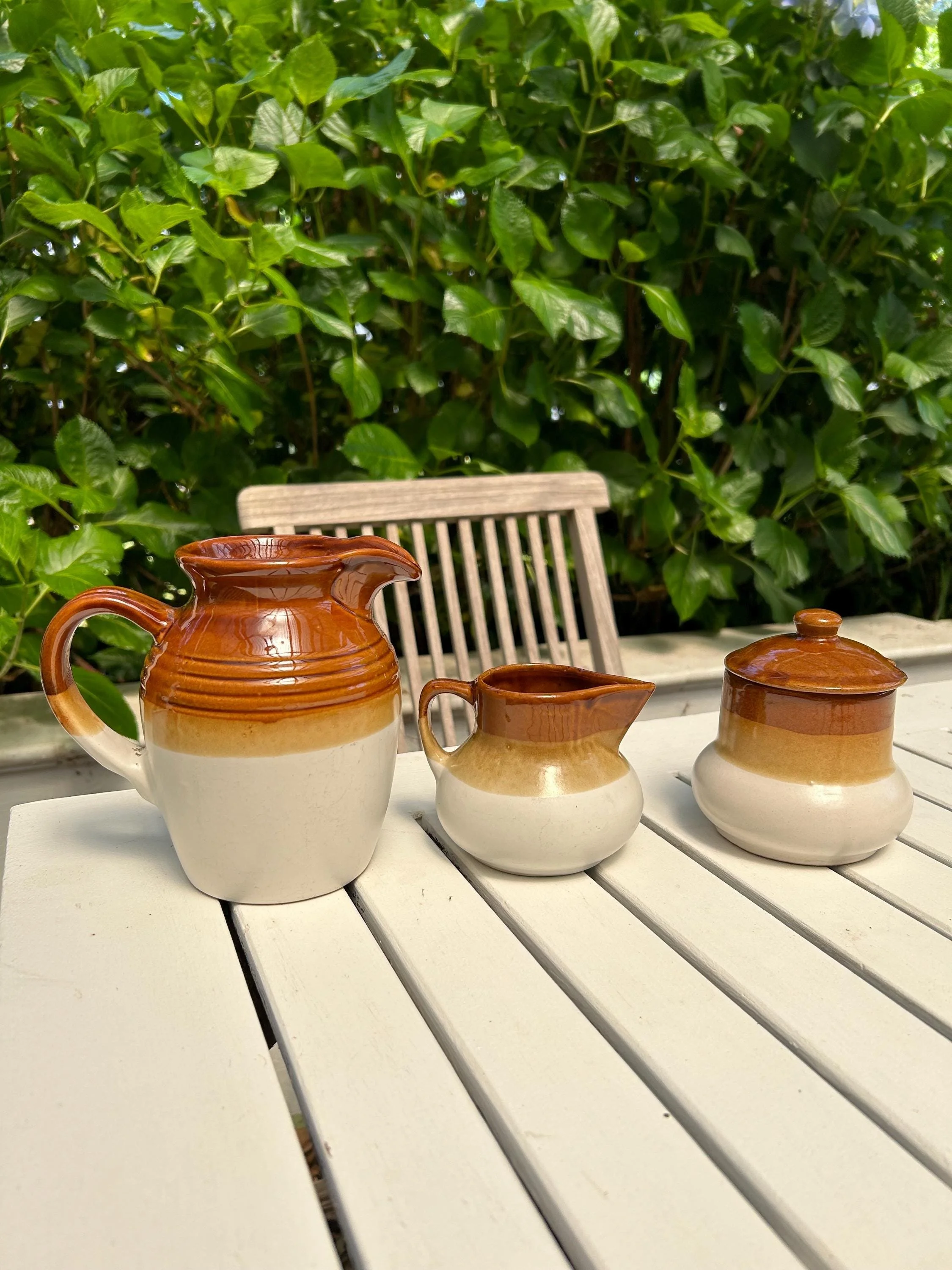 Entire set outdoors on white table, surrounded by leafy greenery