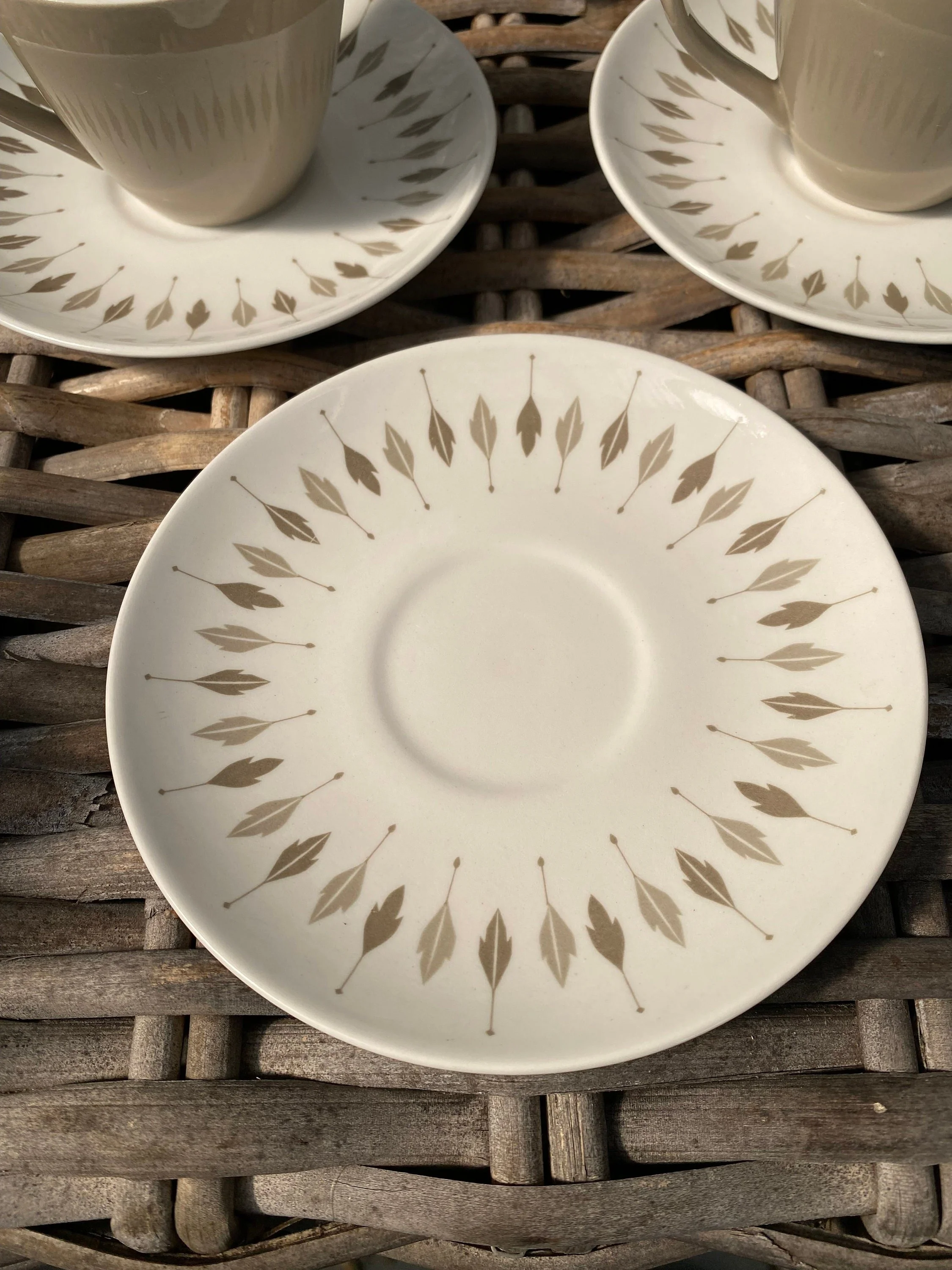 Saucers with radiating taupe leaf pattern shown in flat lay