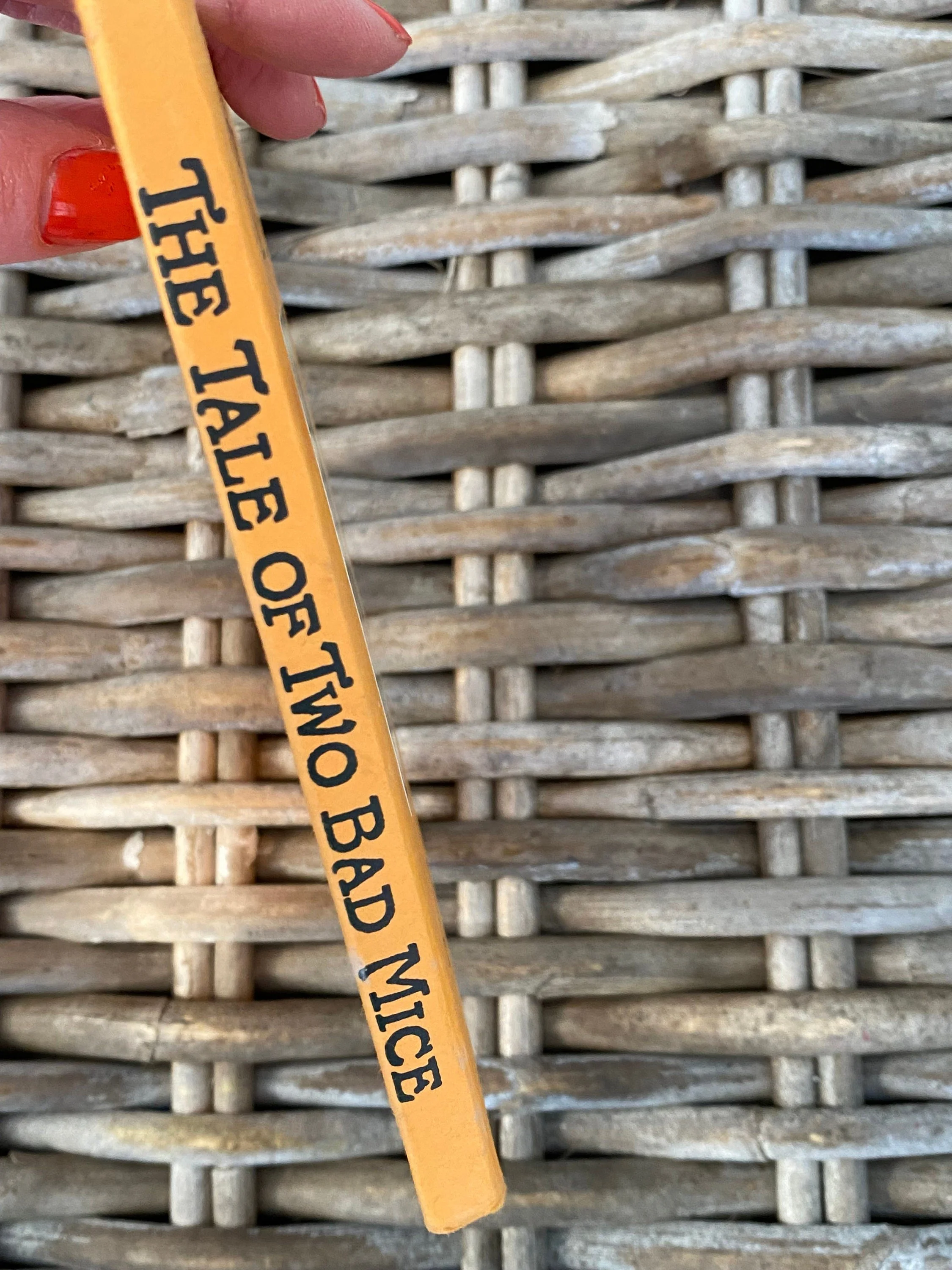 Book spine reading “The Tale of Two Bad Mice” in bold black font