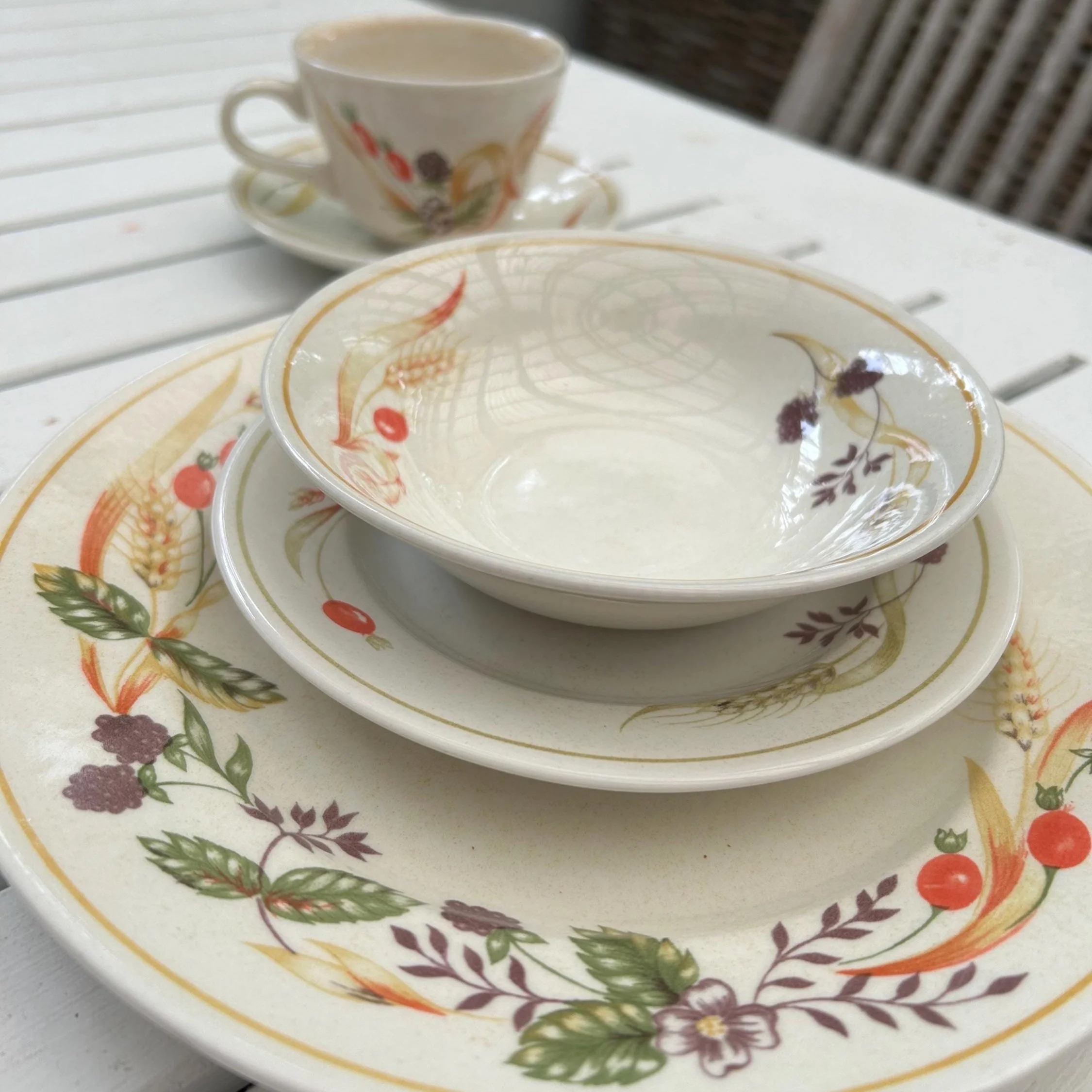Complete Churchill Bramble Fayre dinnerware set for one on white table with cup, saucer, bowl, side and dinner plate