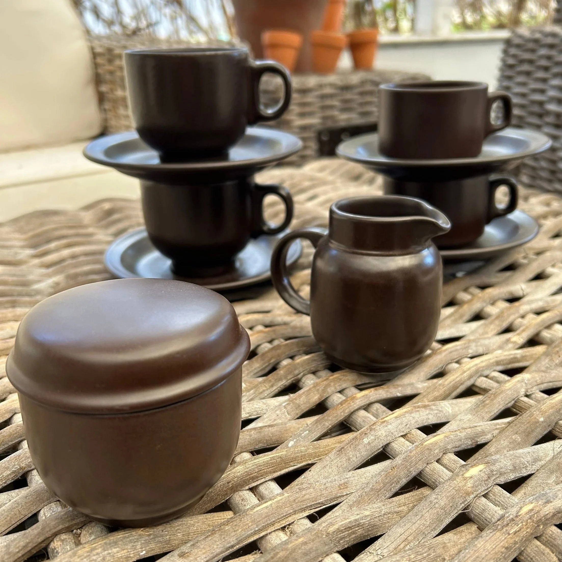 Full set of Royal Doulton “Africa” teacups, coffee cups, and accessories displayed outdoors