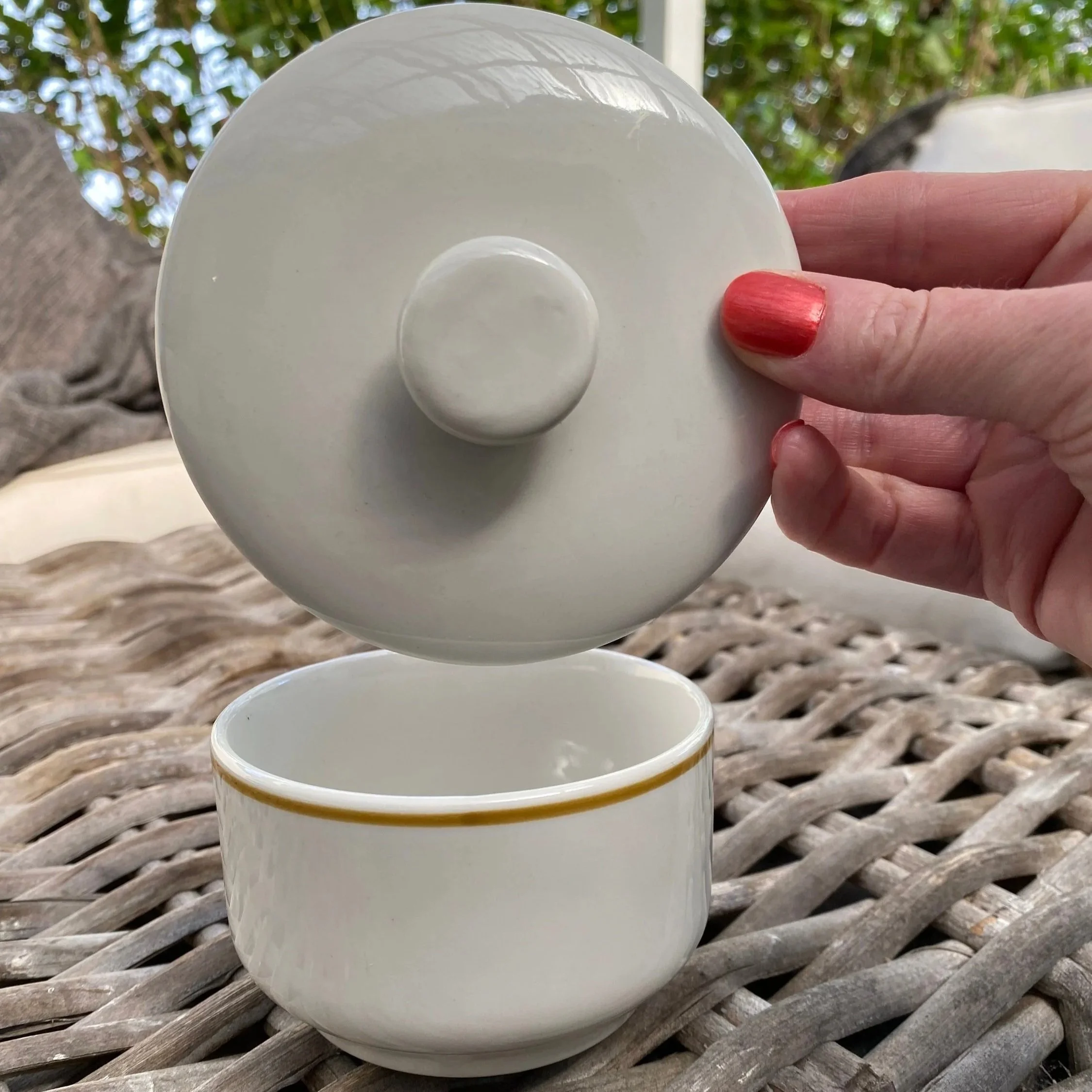 Lid held above bowl showing knob and interior view