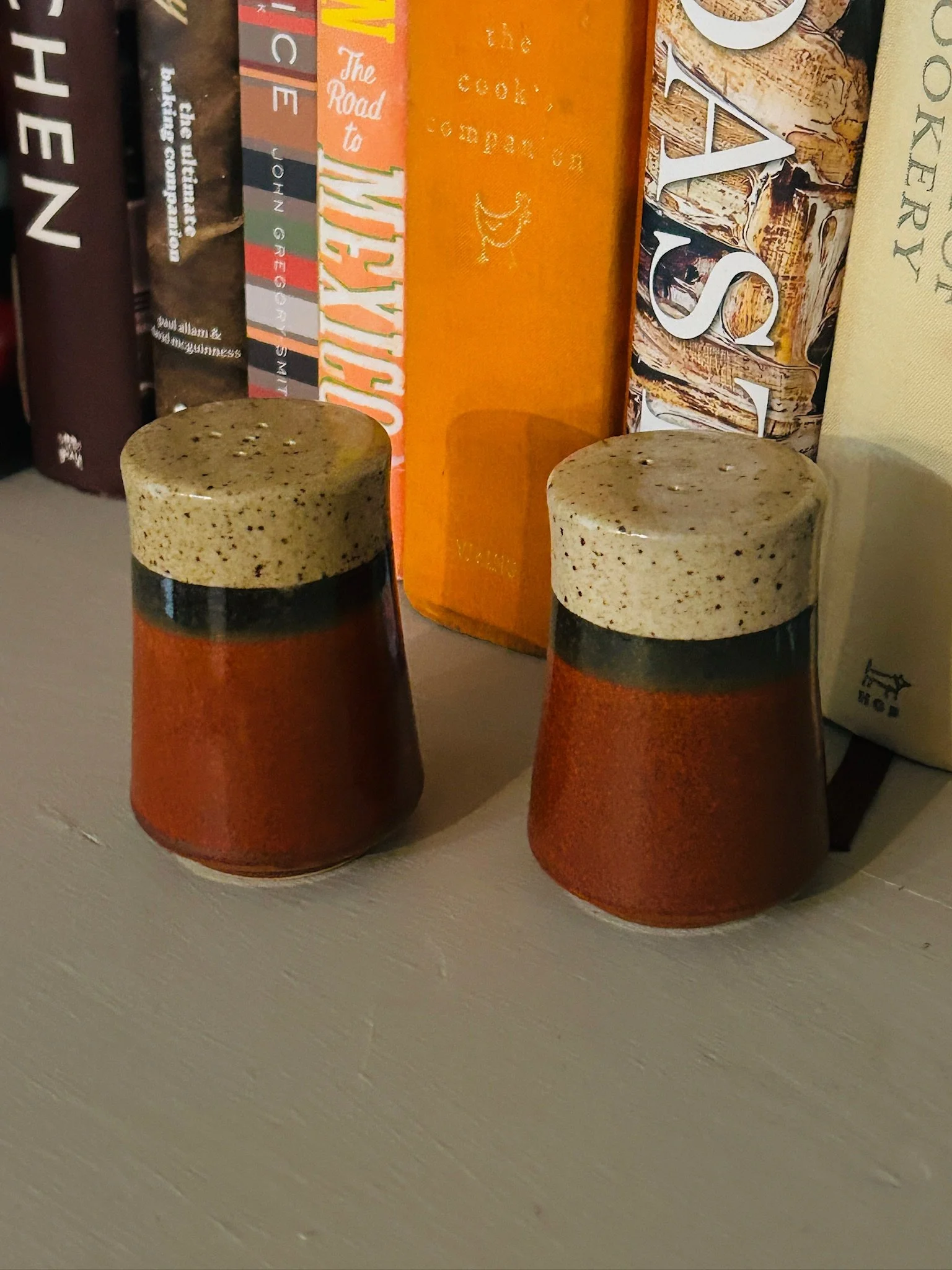 Vintage ceramic salt and pepper shaker pair styled on a shelf in front of books.