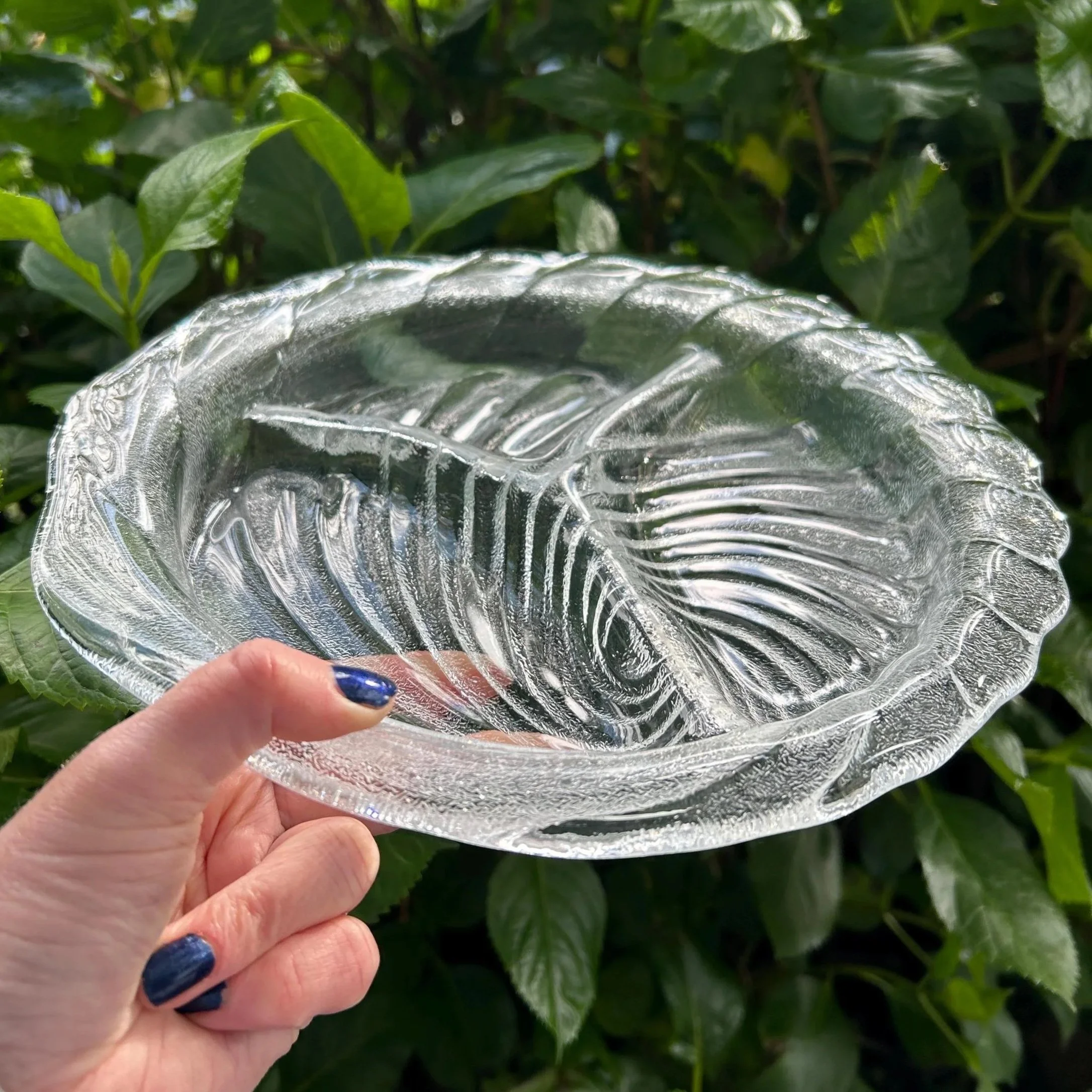 Hand holding a clear IVV Italian glass platter with shell swirl and scalloped edge, shown against leafy background