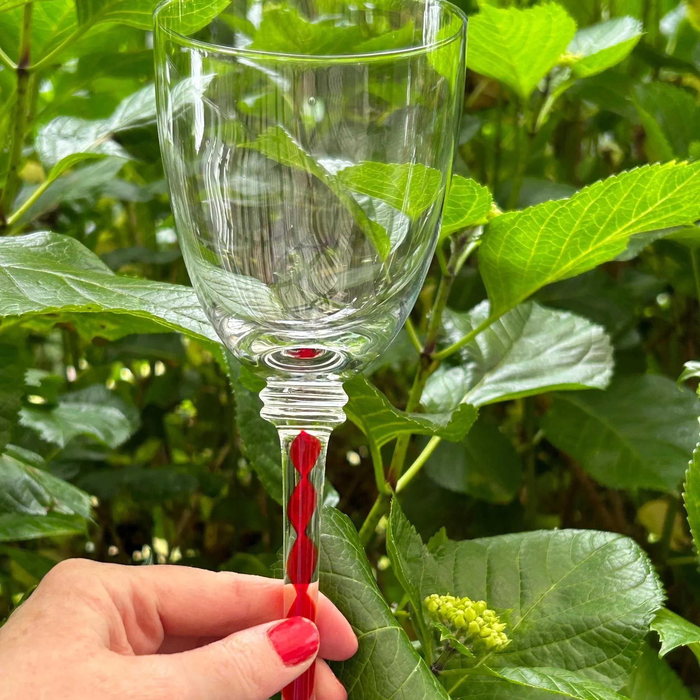 Close-up of a single glass held in hand against green foliage background