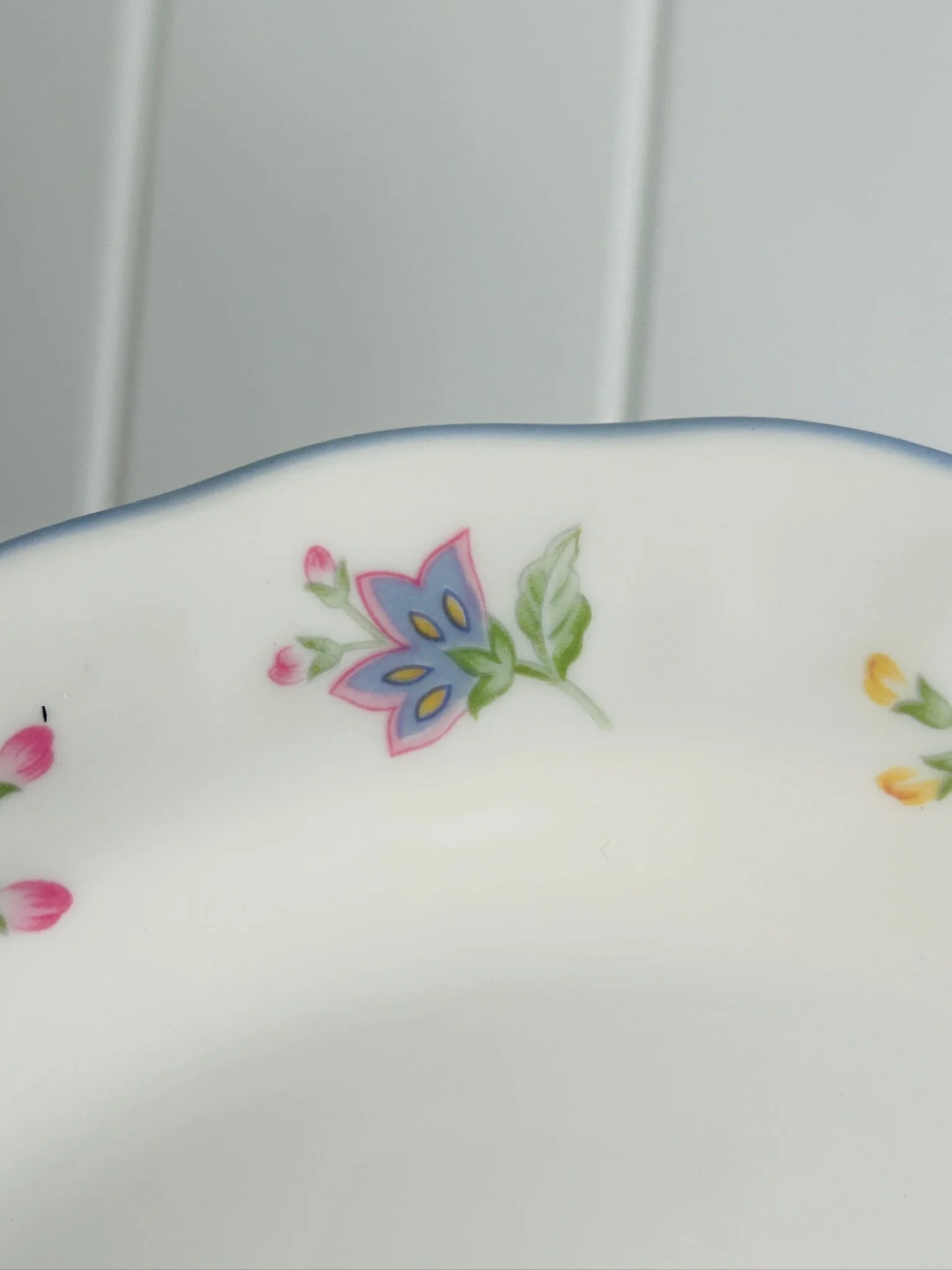 Close-up of the plate rim showing a pastel butterfly motif, soft floral sprigs, and pale blue edging on white fine china.