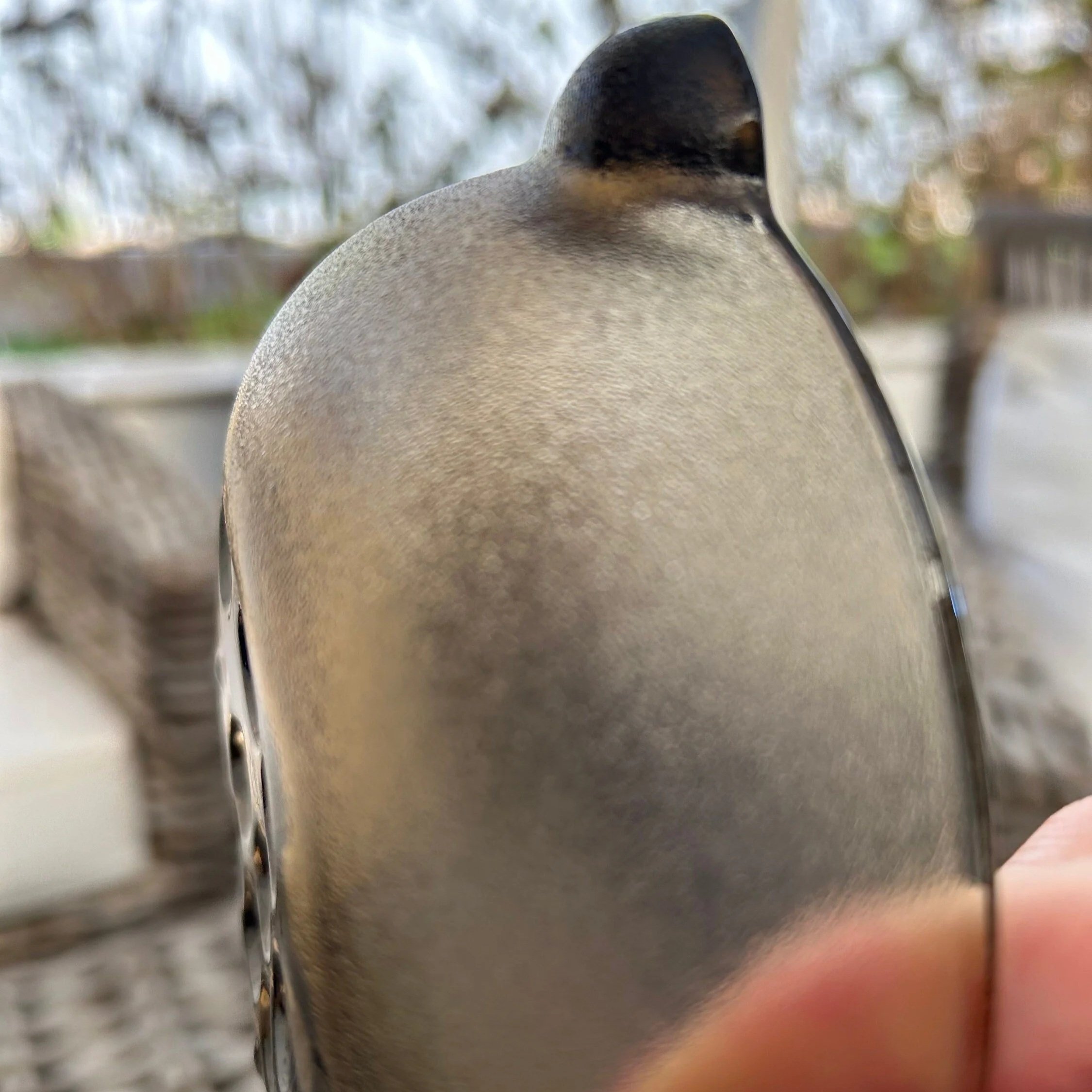 Side view of bowl showing integrated handle and curved rim