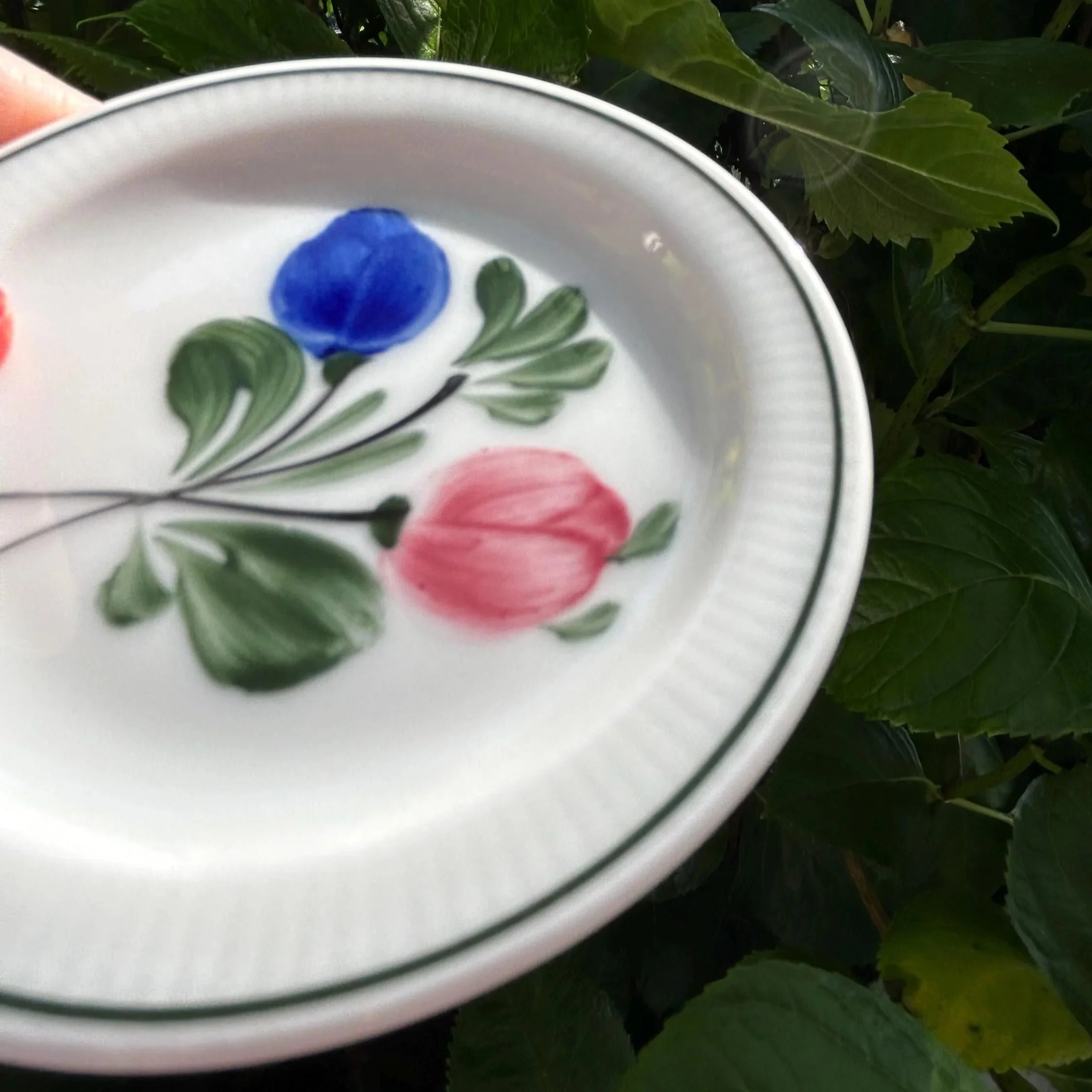 Side angle of plate showing gloss finish and fine trim