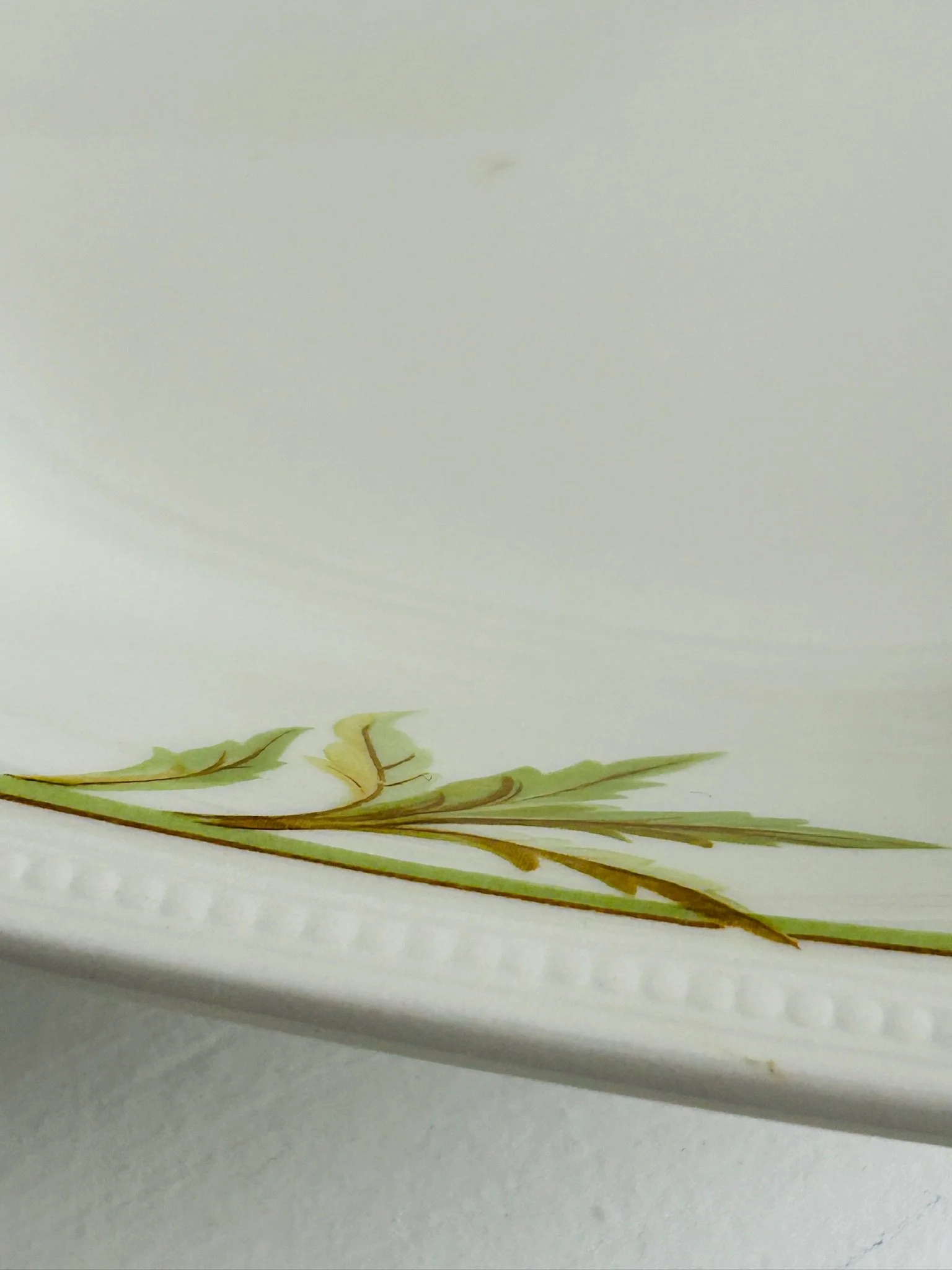 Close-up of the rim detail showing green leaf decoration and the gently raised textured border on the octagonal bowl.