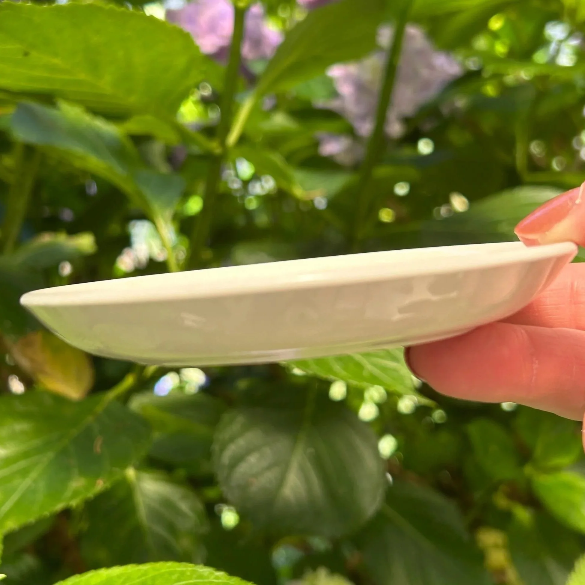 Side profile view showing dish depth and rim shape
