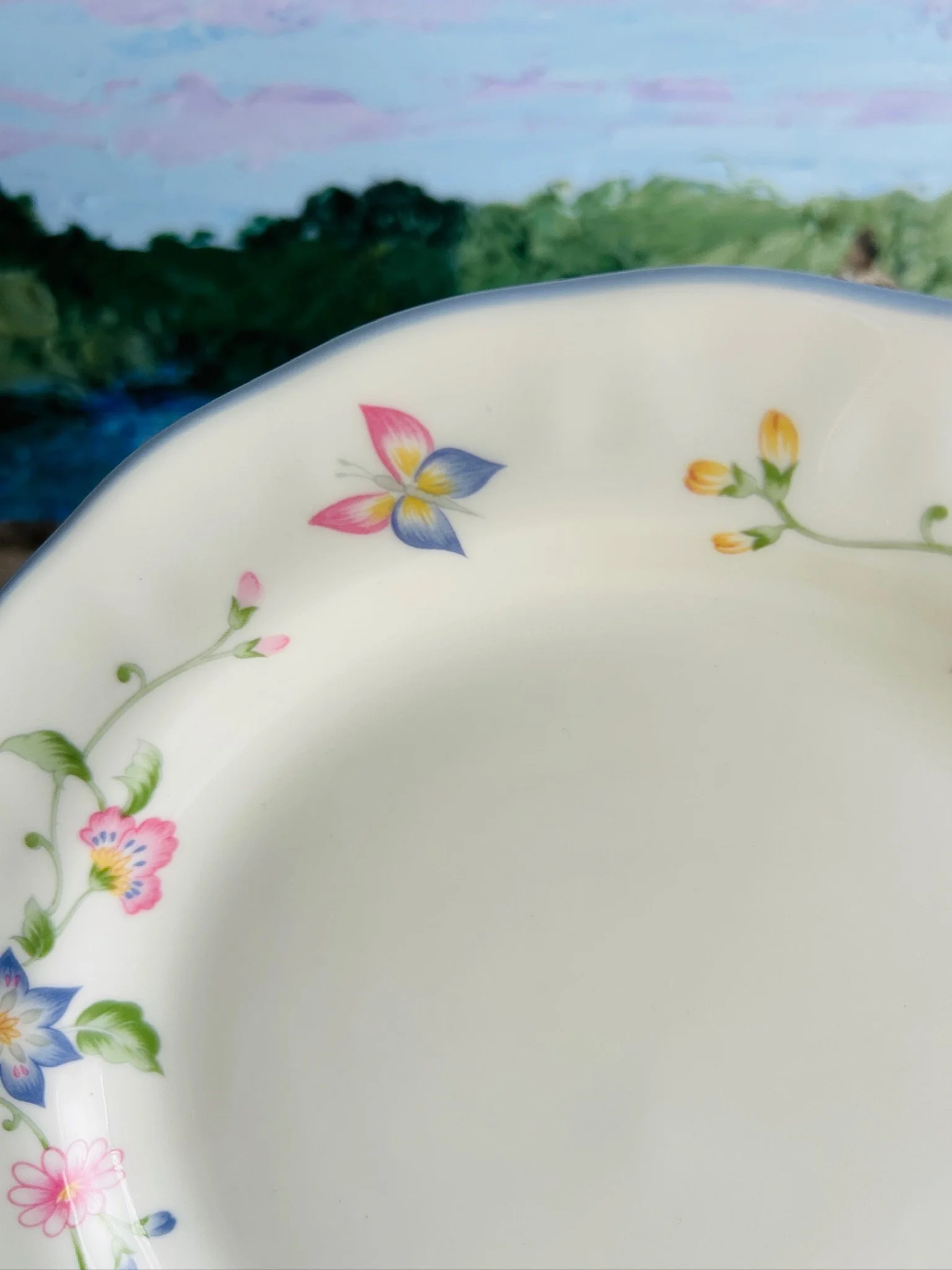 royal-doulton-fine-china-dinner-plate--overhead-view-full-pattern.jpg