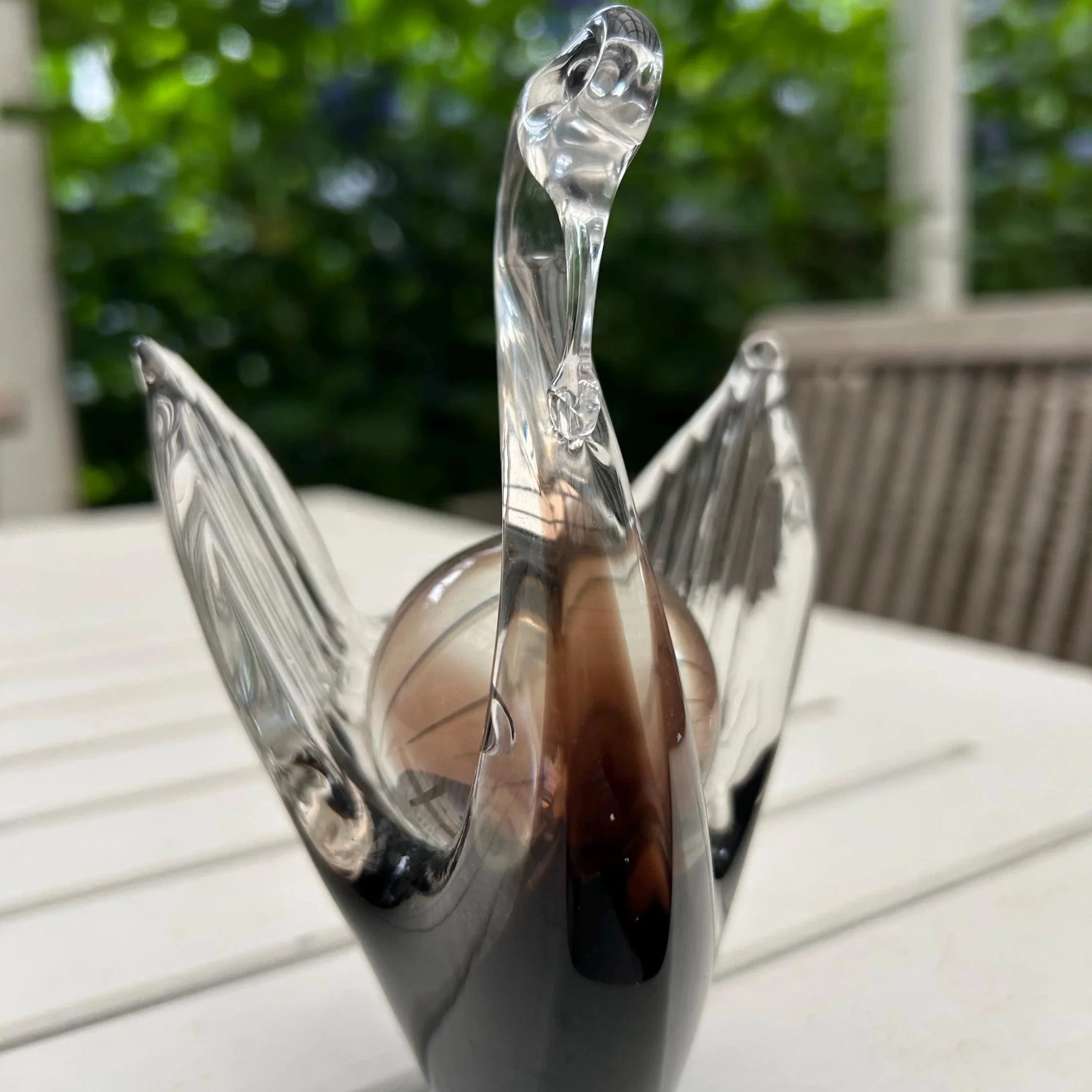 Close-up of the curved neck and wing texture