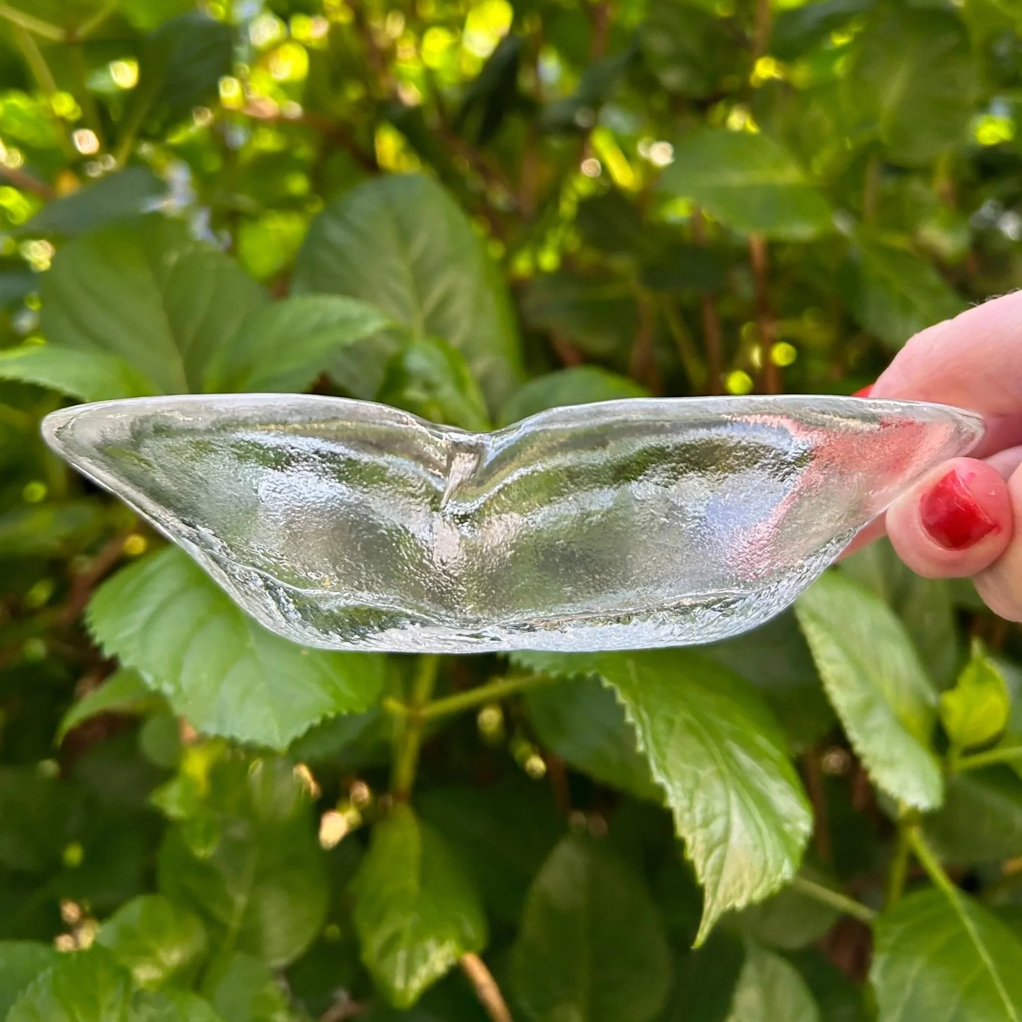 Single dish held outdoors, showing curved form and light-capturing texture