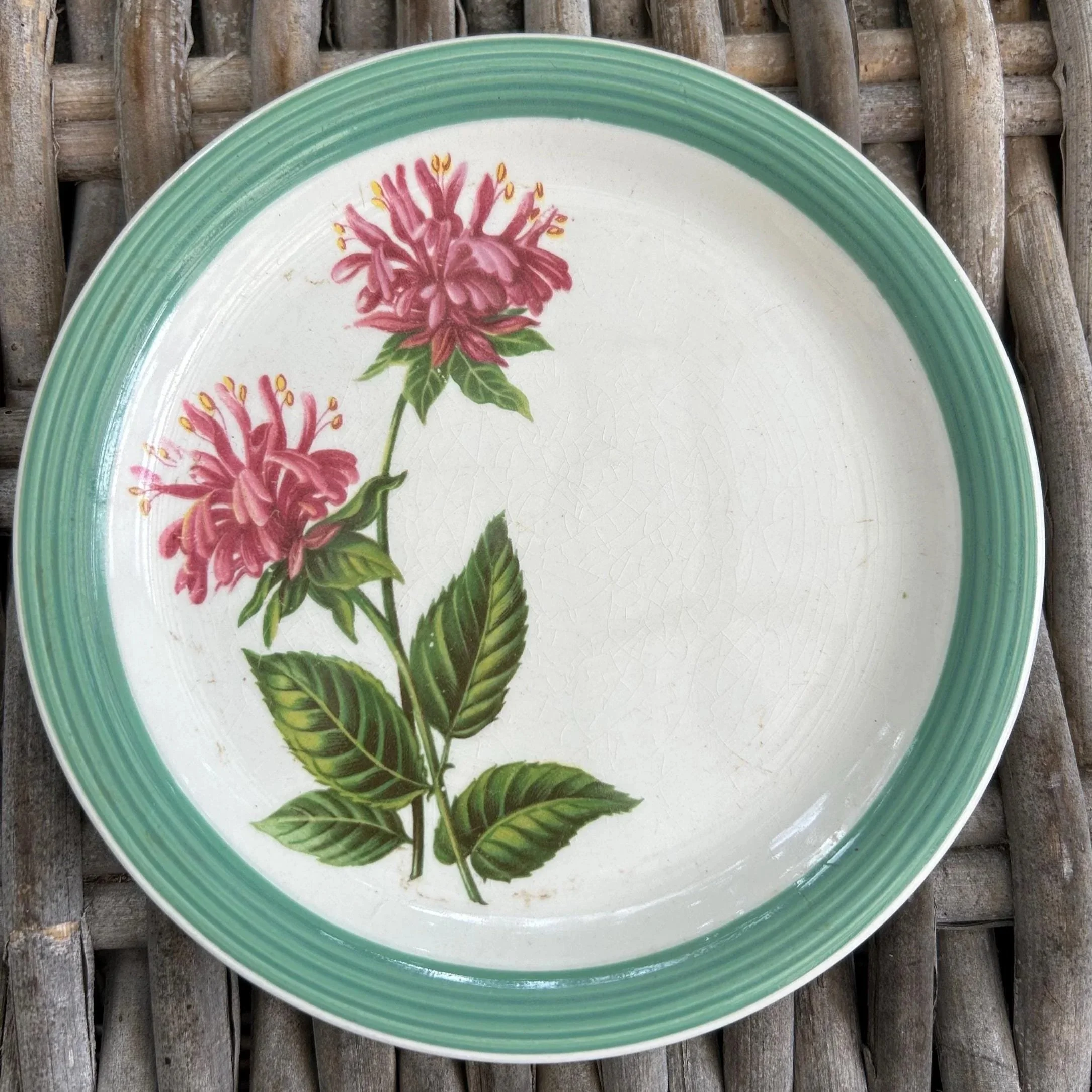 Overhead view of the decorative plate showing the full floral design and green border