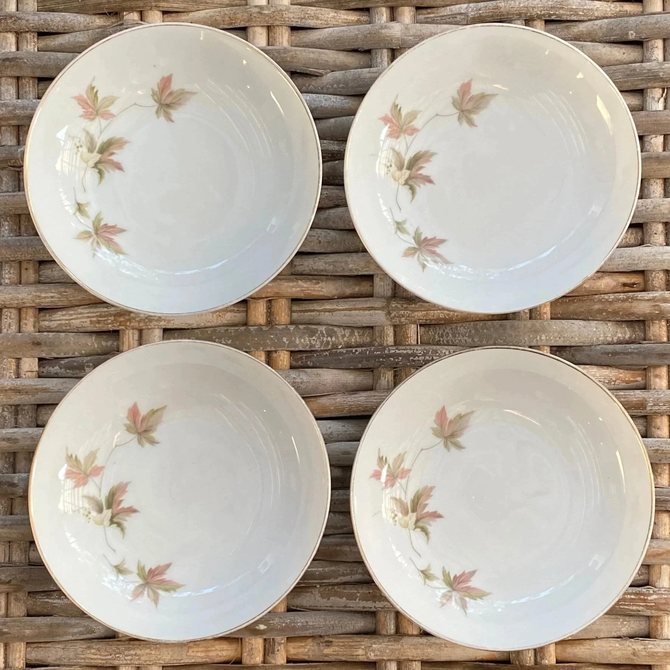 Overhead shot showing layout of the four dishes in full circle formation