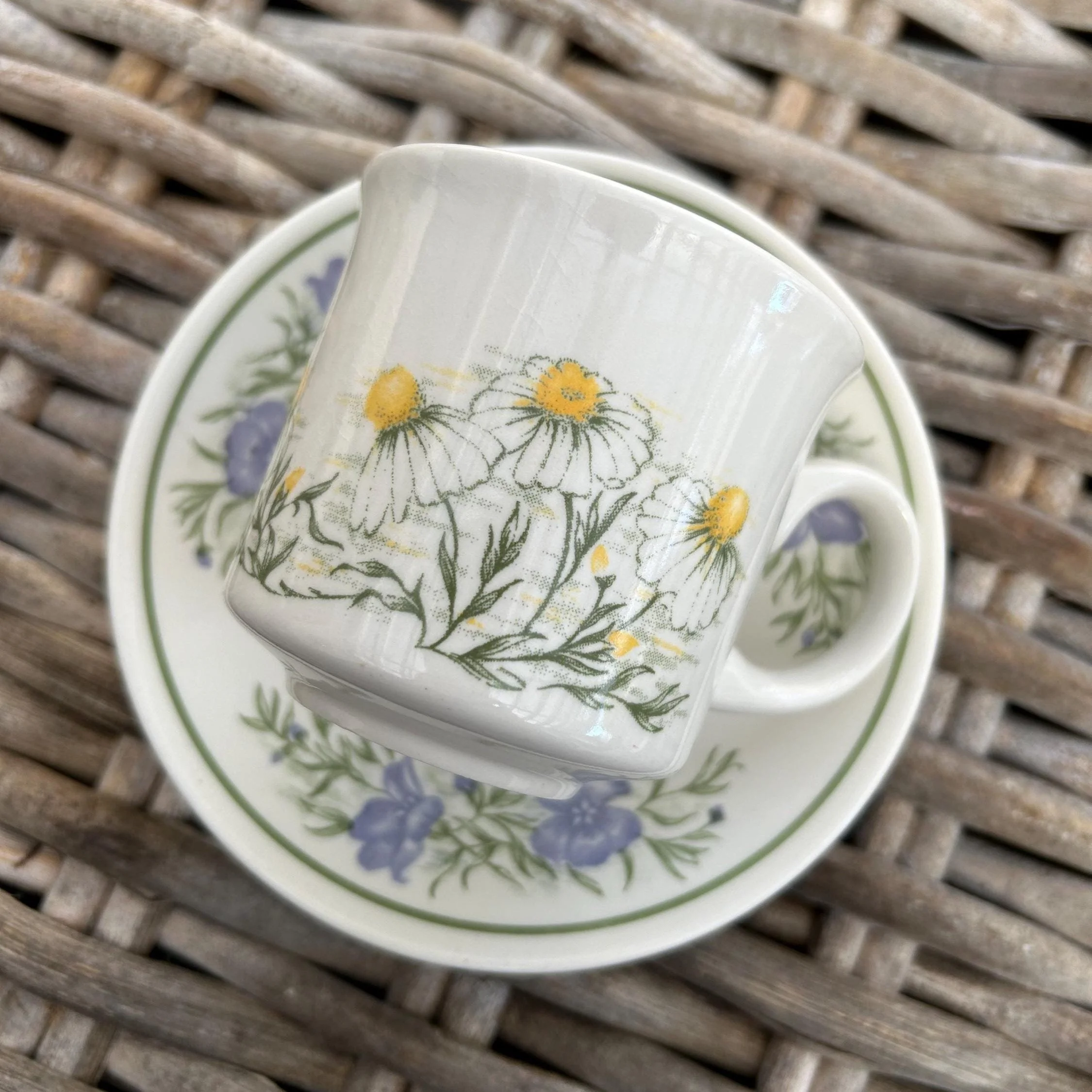 Close-up of a Churchill vintage teacup and saucer featuring chamomile flowers and herbs on white ceramic.