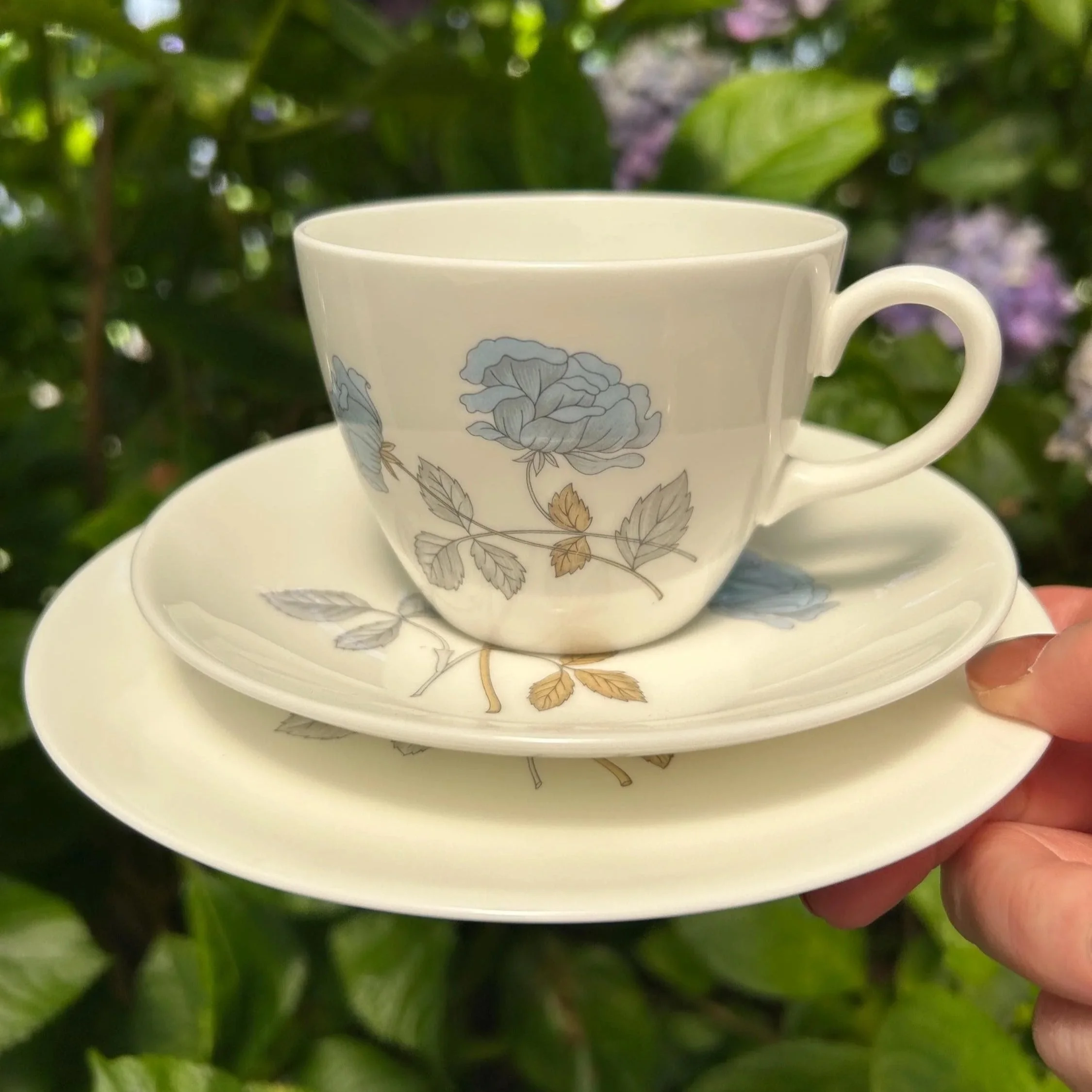Wedgwood Ice Rose trio set held in hand, showing the teacup stacked on the saucer and side plate