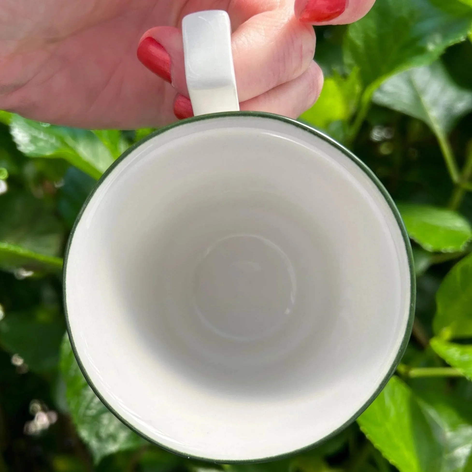 Overhead view into cup showing clean interior and rim detailing