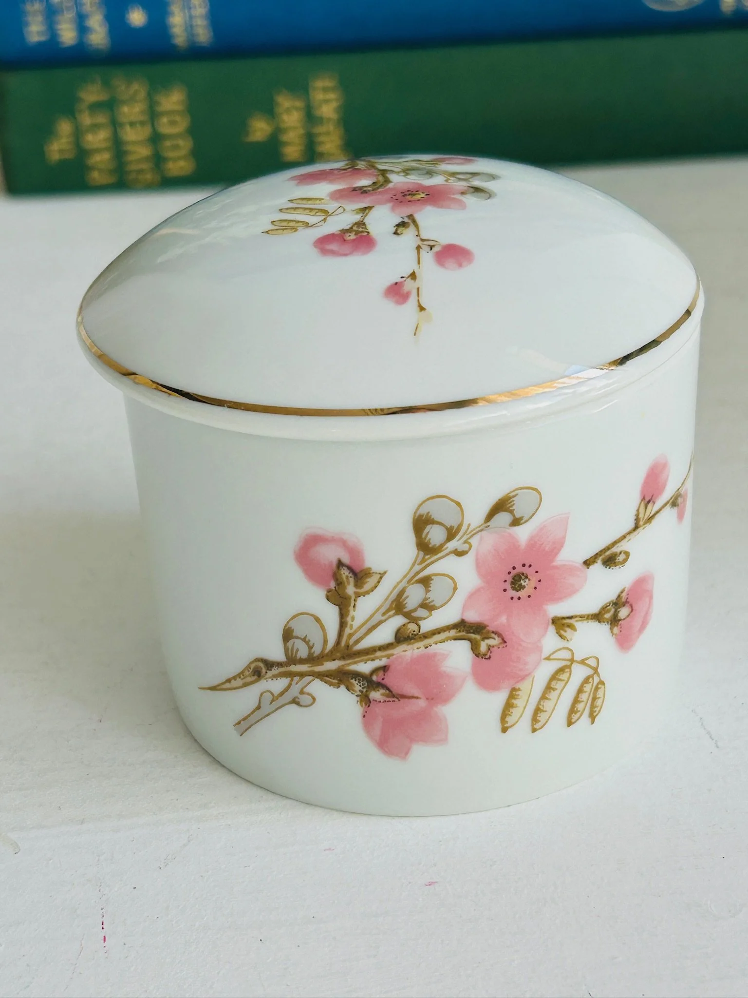 schmidt-brasil-porcelain-lidded-pot--complete-detail-motif.jpg