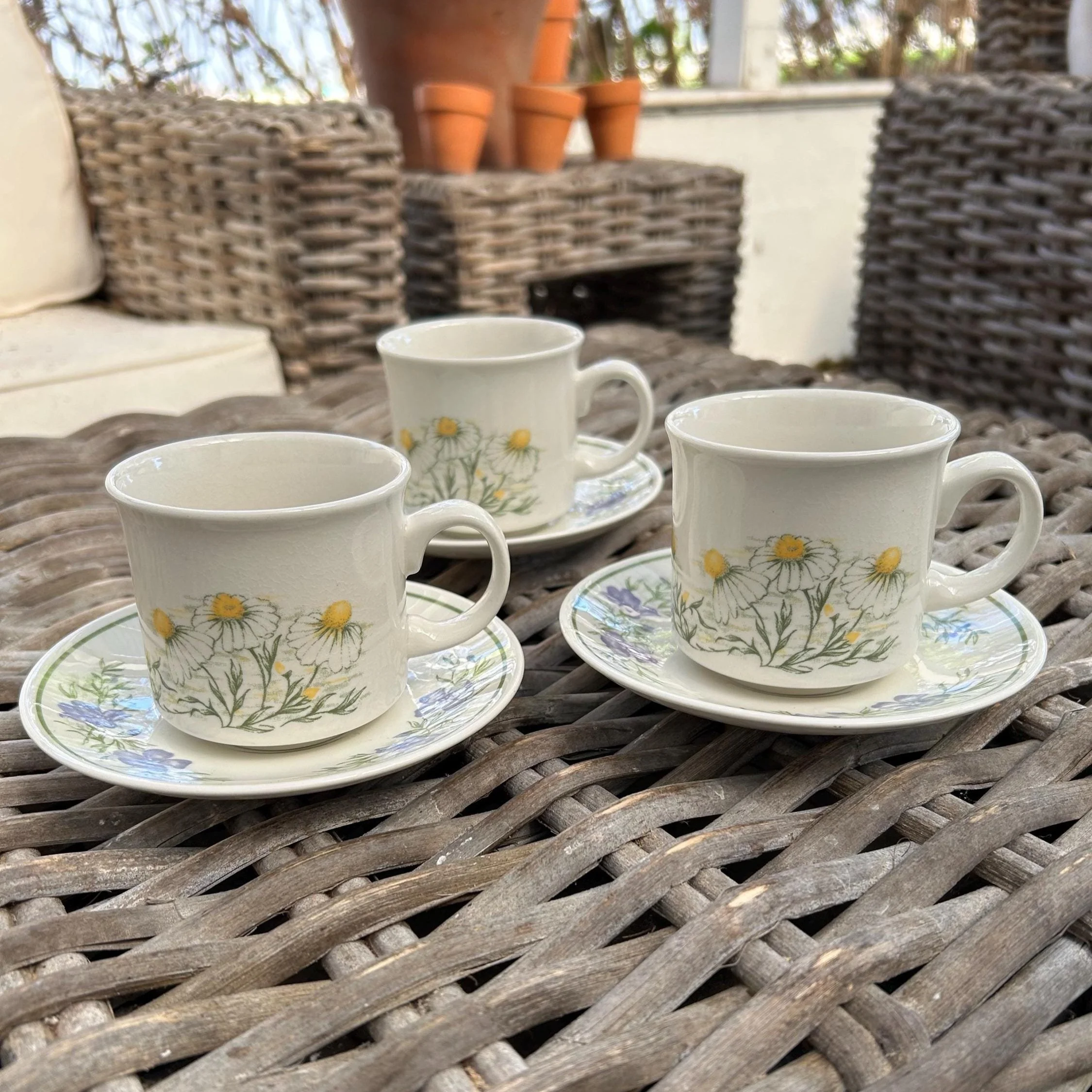 Set of 3 Churchill chamomile and herb vintage teacups with matching saucers in a floral garden setting.