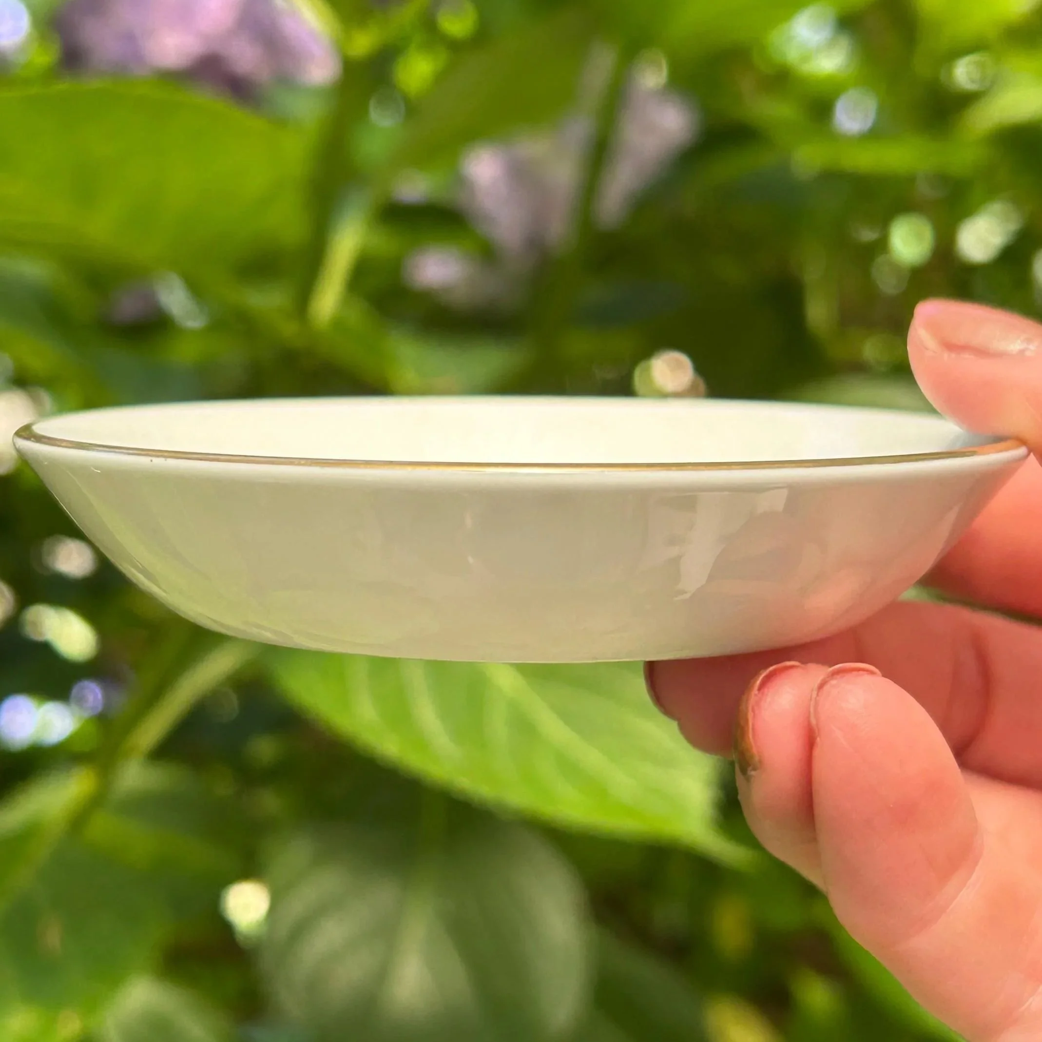 Side profile of dish showing shallow depth and smooth rim