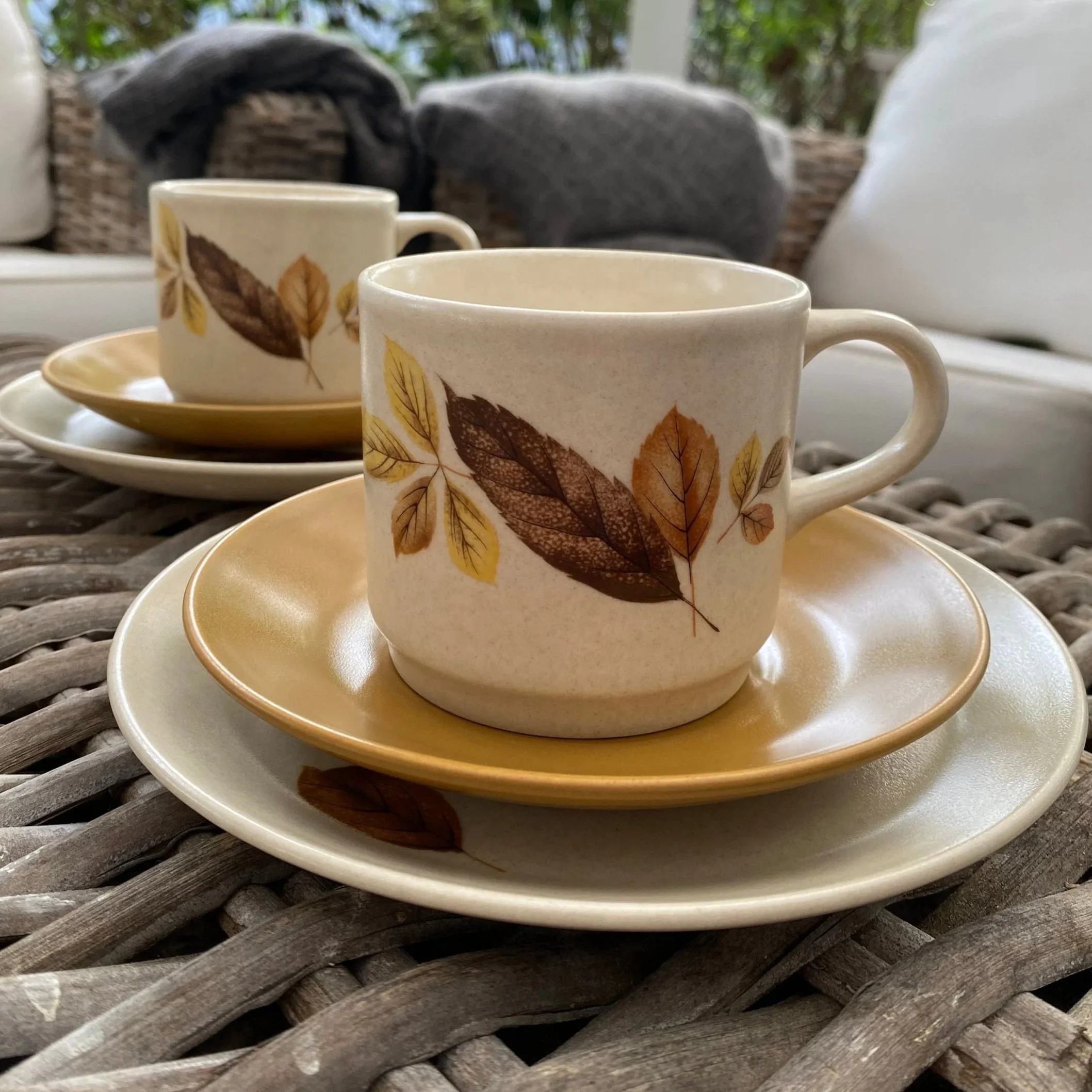 Full view of both ‘Woodside’ trios showing cups, saucers, and plates in natural light