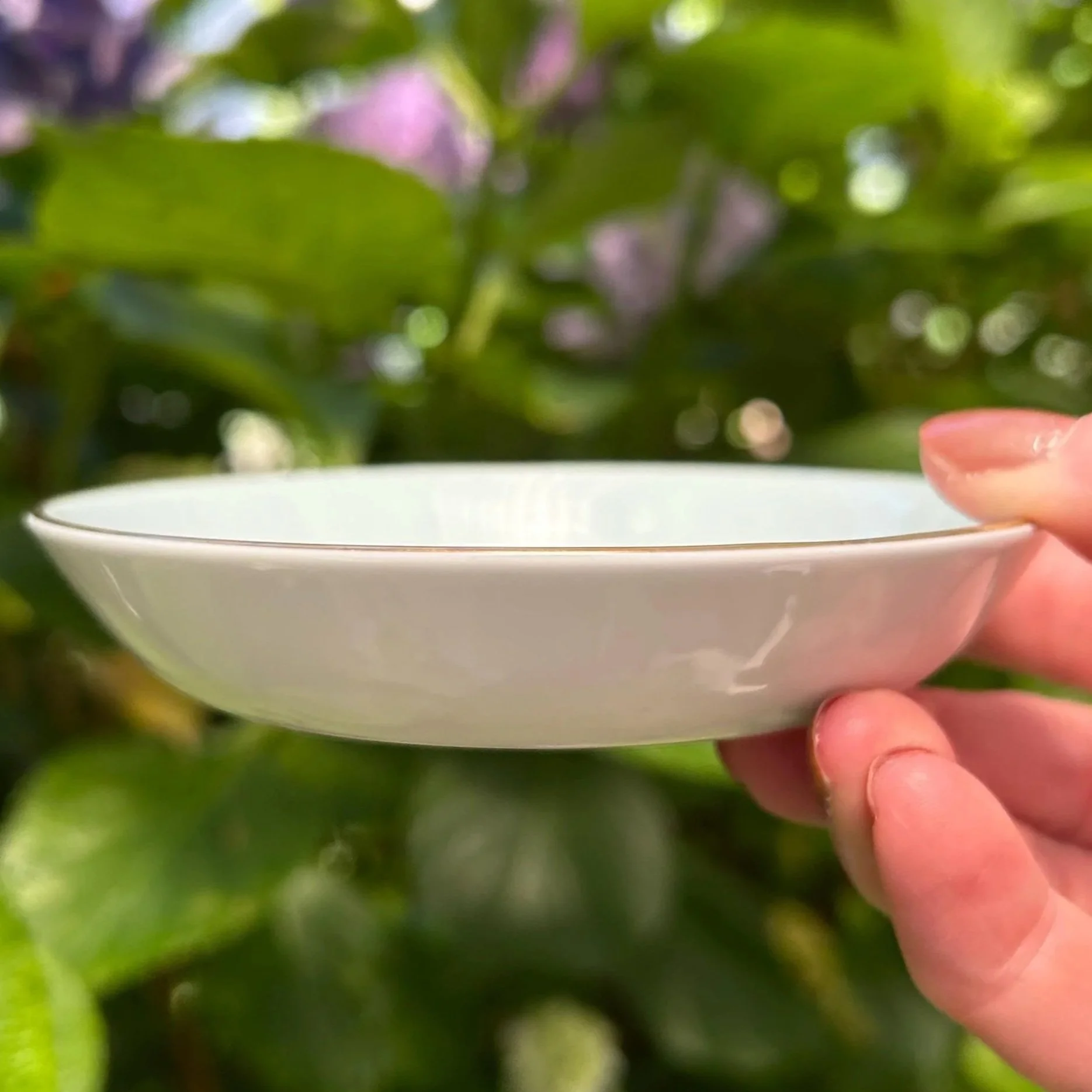 Side view showing dish profile with shallow curved shape and gold rim