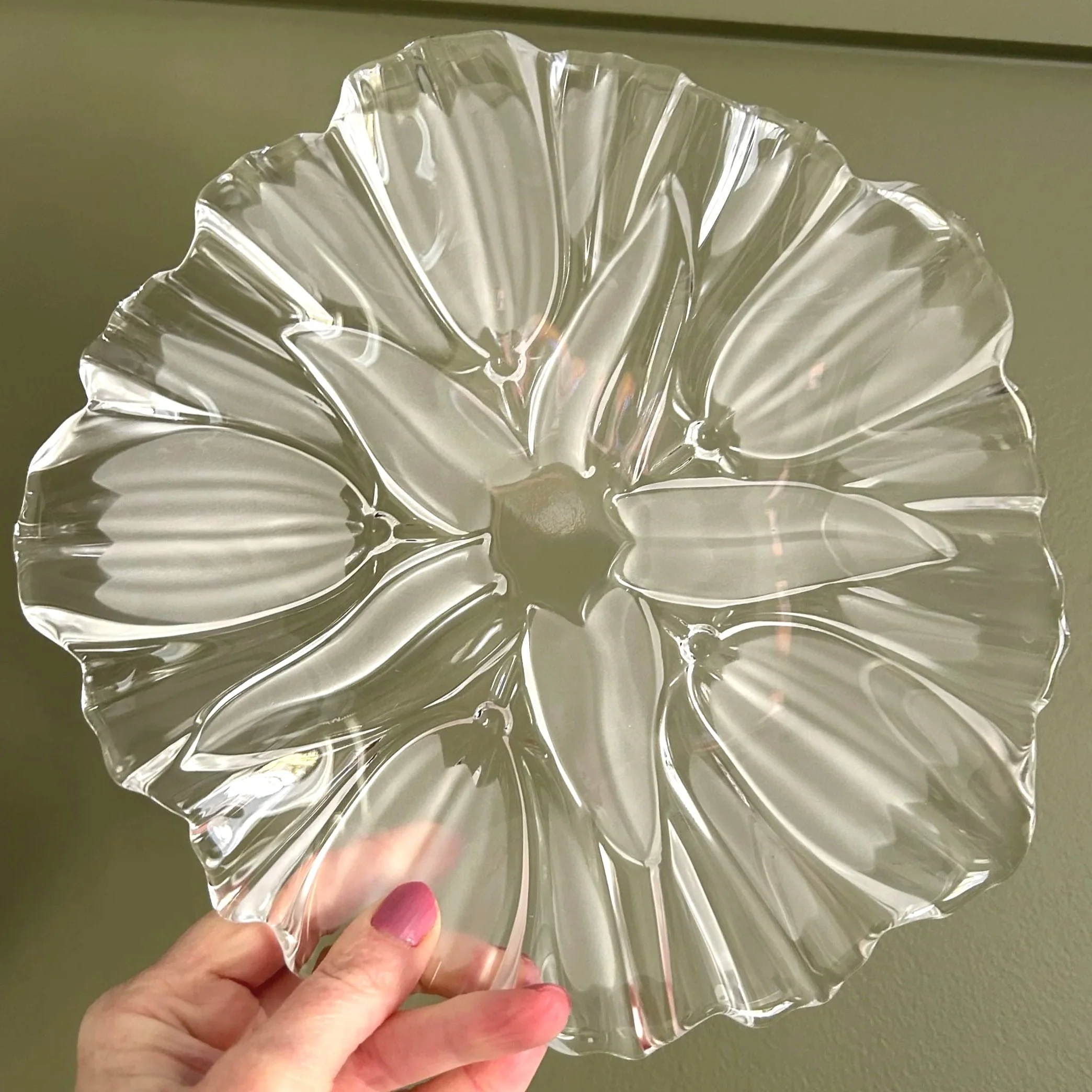 Clear plate held against light – showcasing full floral design