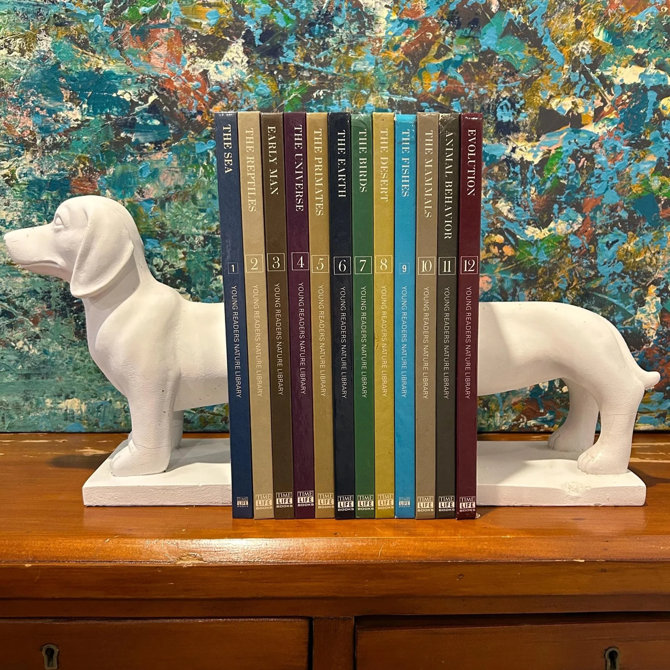 Complete 12-volume 1979 Time-Life Nature Library for kids. Beautiful vintage hardcovers with engaging science topics. Ideal for education or display.