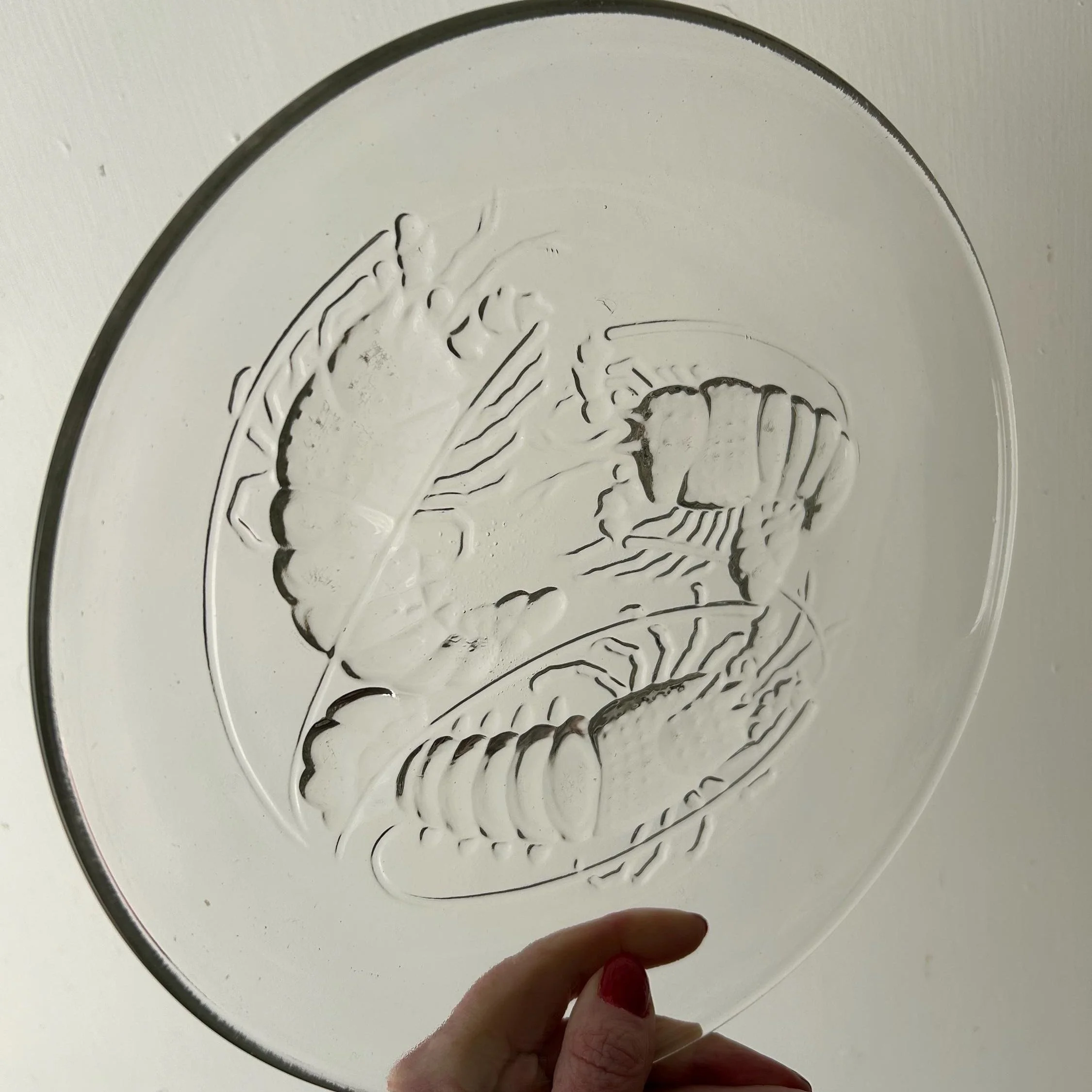 Close-up of crayfish motif on clear glass plate held in front of a white wall