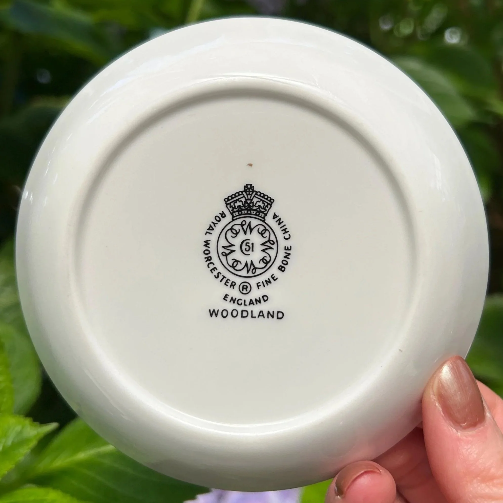 Backstamp of Royal Worcester showing crown and mark, held in hand