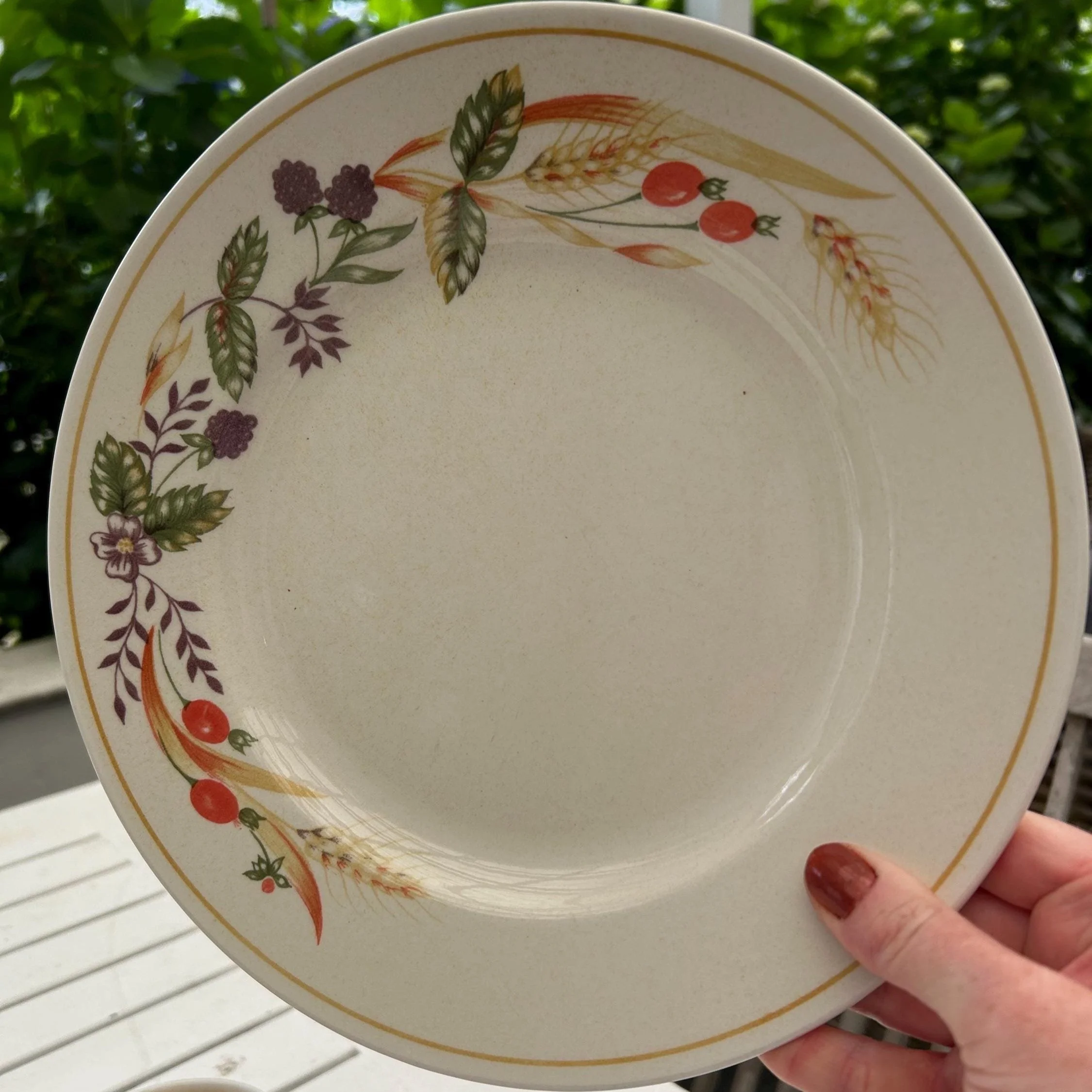 Close-up of dinner plate from Churchill Bramble Fayre showing fruits, berries, and wheat detail on rim