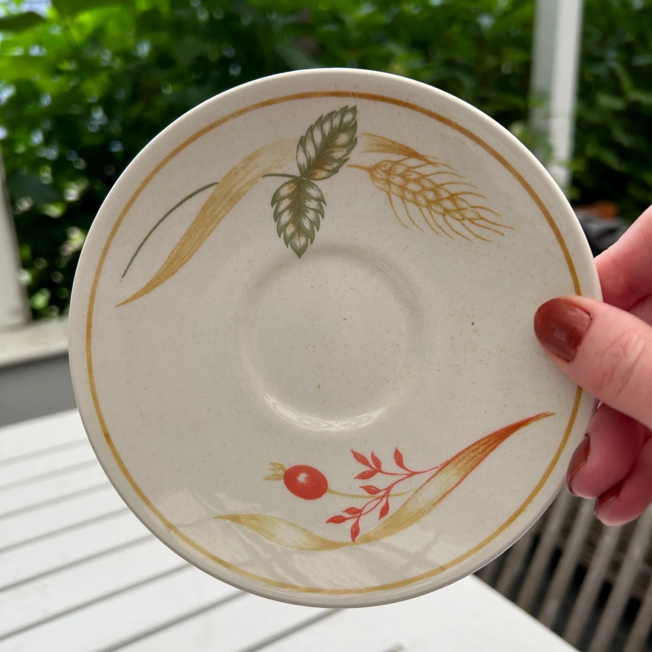 Matching saucer from Bramble Fayre dinnerware set with wheat and rosehip motif