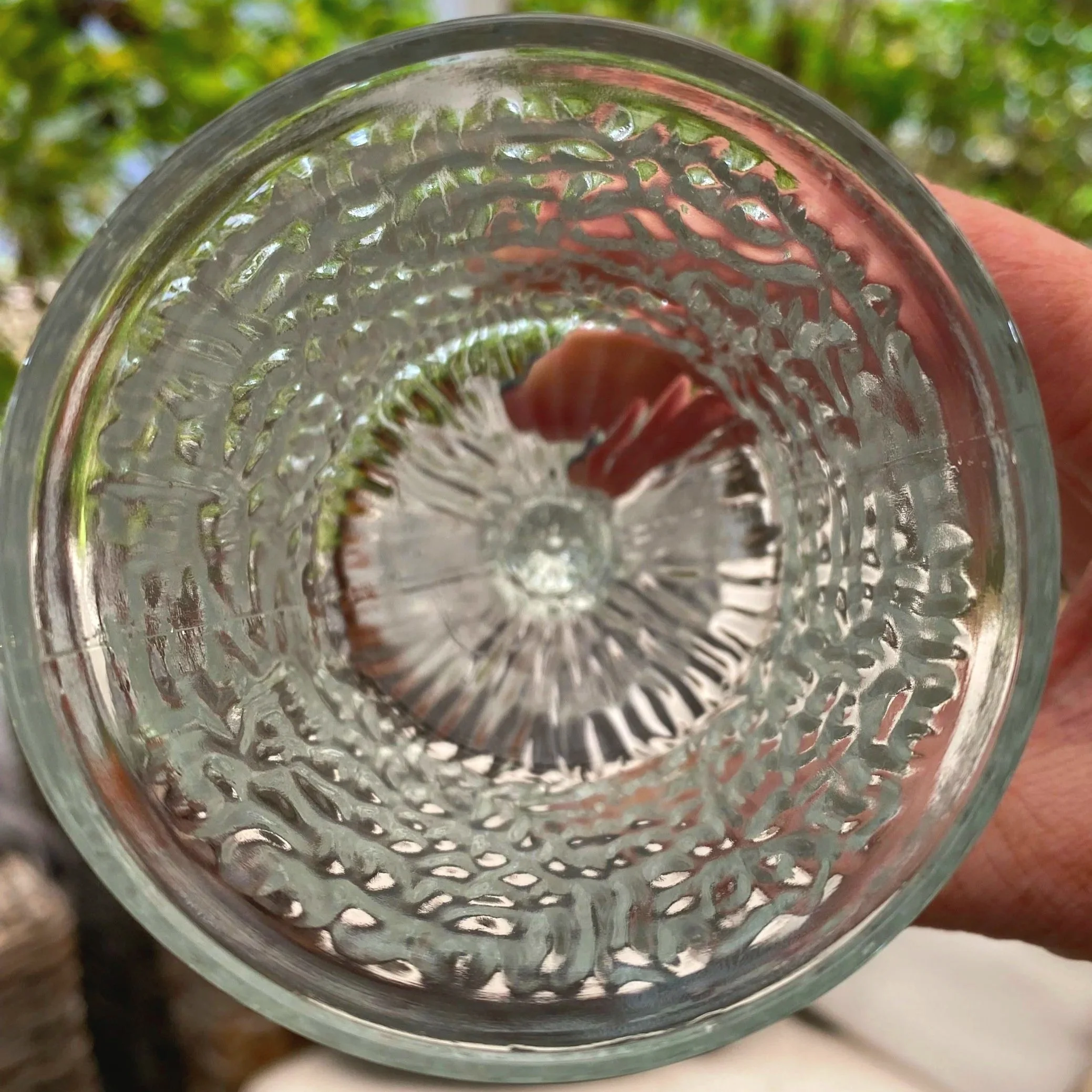 Overhead view showing bark texture from rim to stem