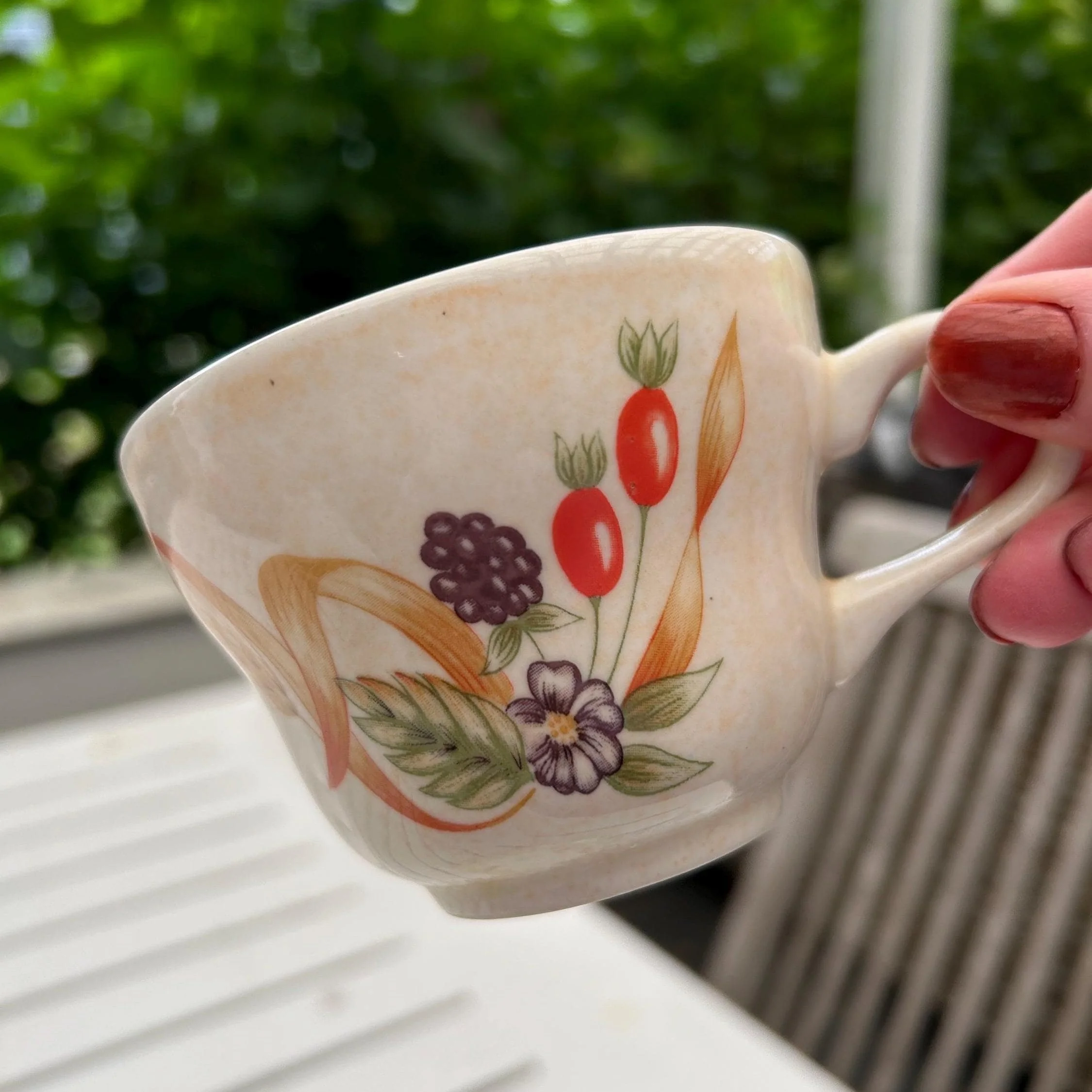 Close-up of Churchill Bramble Fayre teacup featuring berries, rosehips, and floral detailing