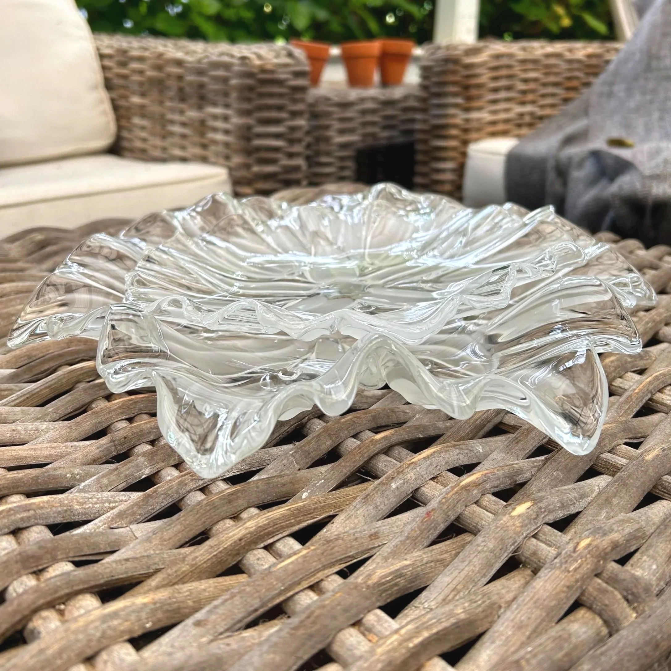 Plate held up against greenery – displaying petal-shaped rim and clear centre