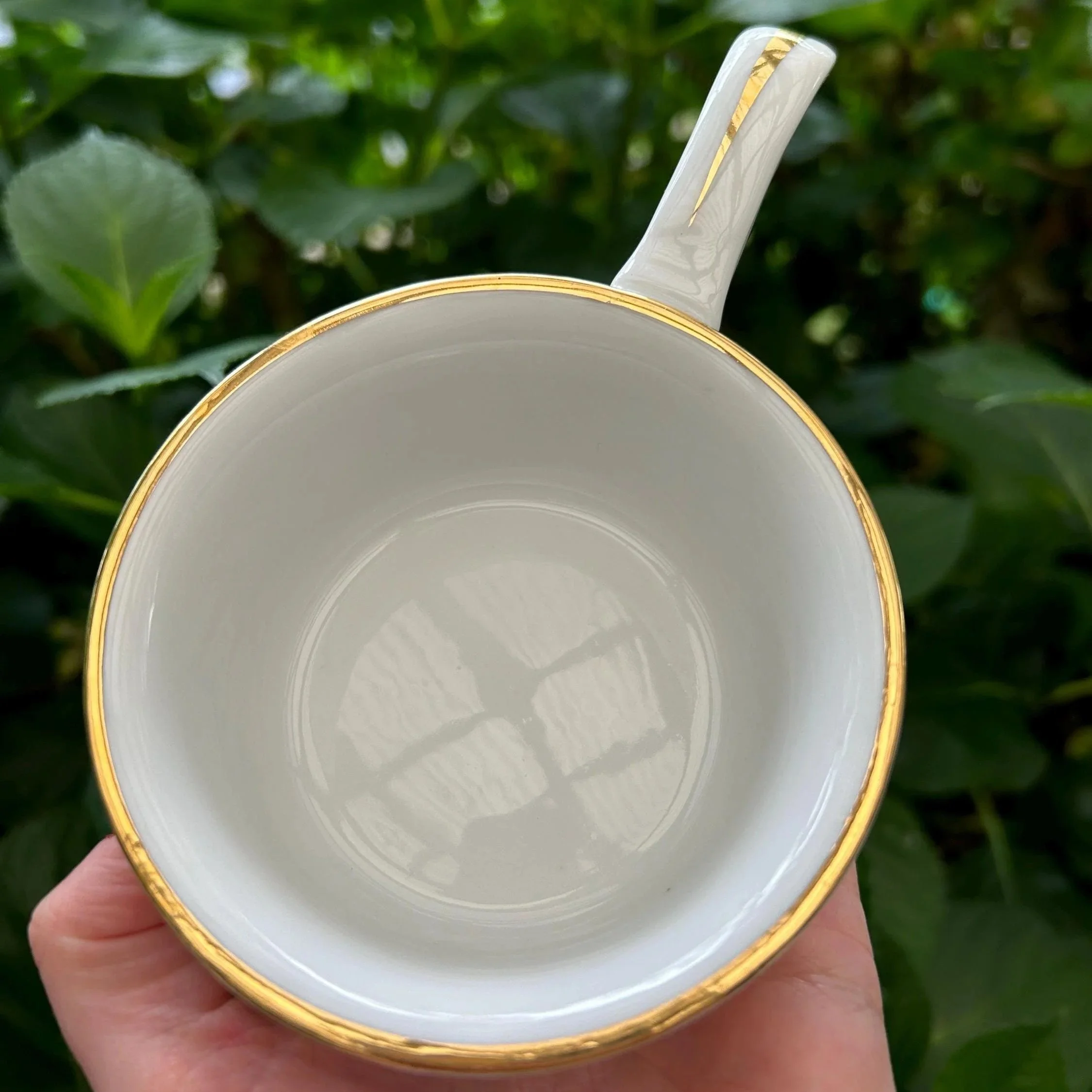 Overhead top view of bowl showing clean interior and gold trim