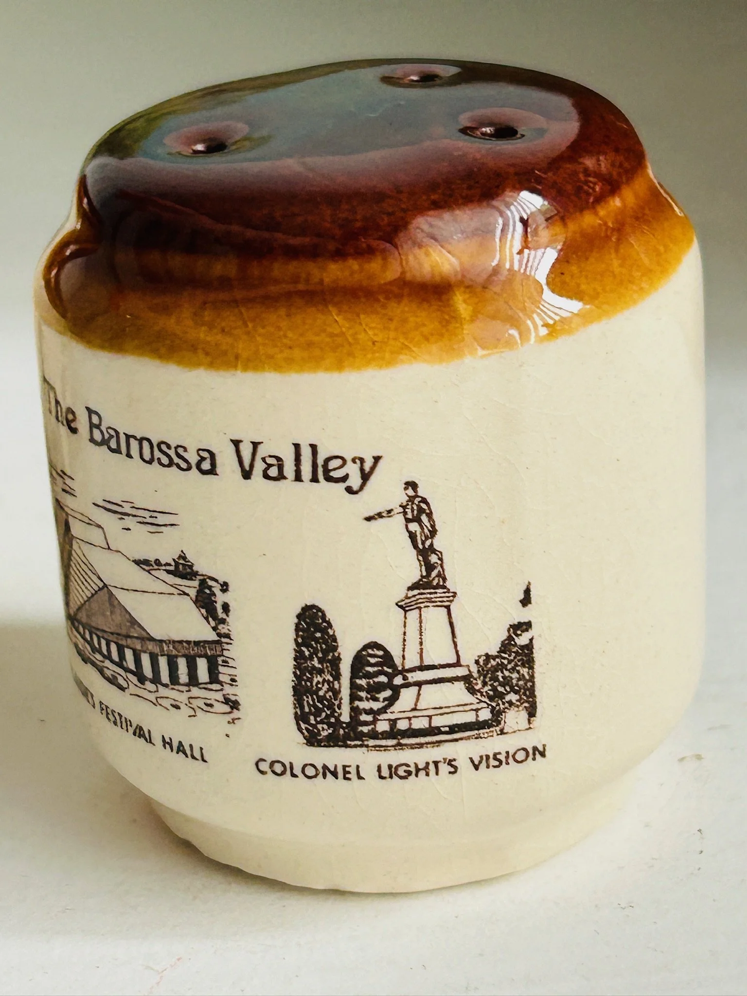 Detail of the lower illustration panel featuring Colonel Light’s Vision and part of the Adelaide & The Barossa Valley text.