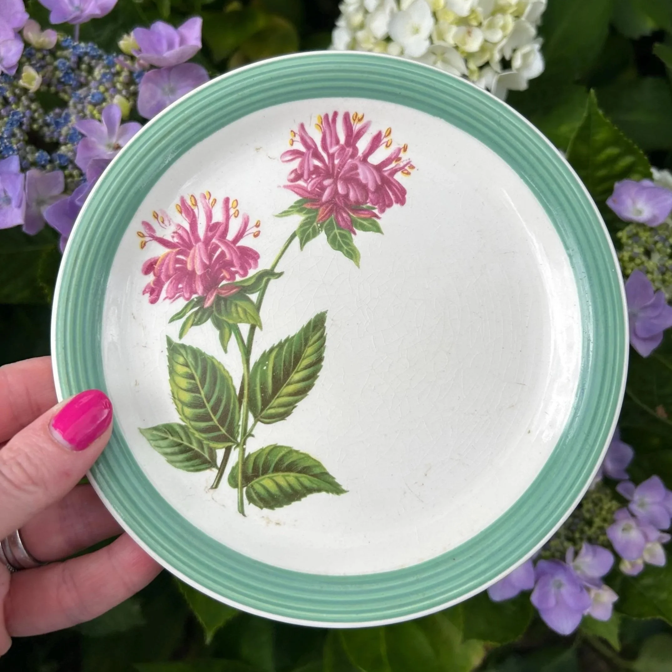 Vintage Wood & Sons Ringwood Ware plate held in hand, showing the pink floral motif and green ribbed rim