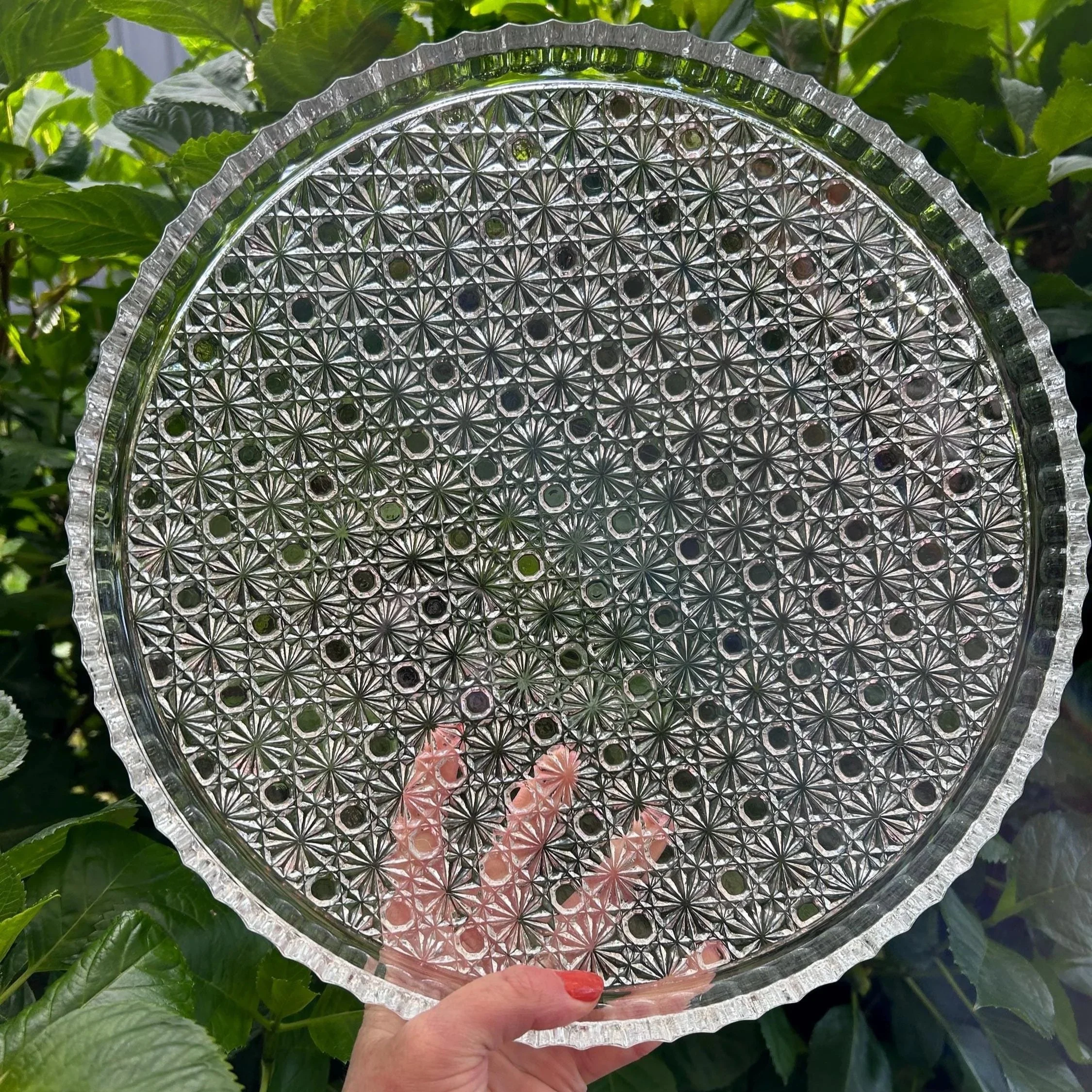 Front view of full Hoya platter held up to light showing clear daisy pattern