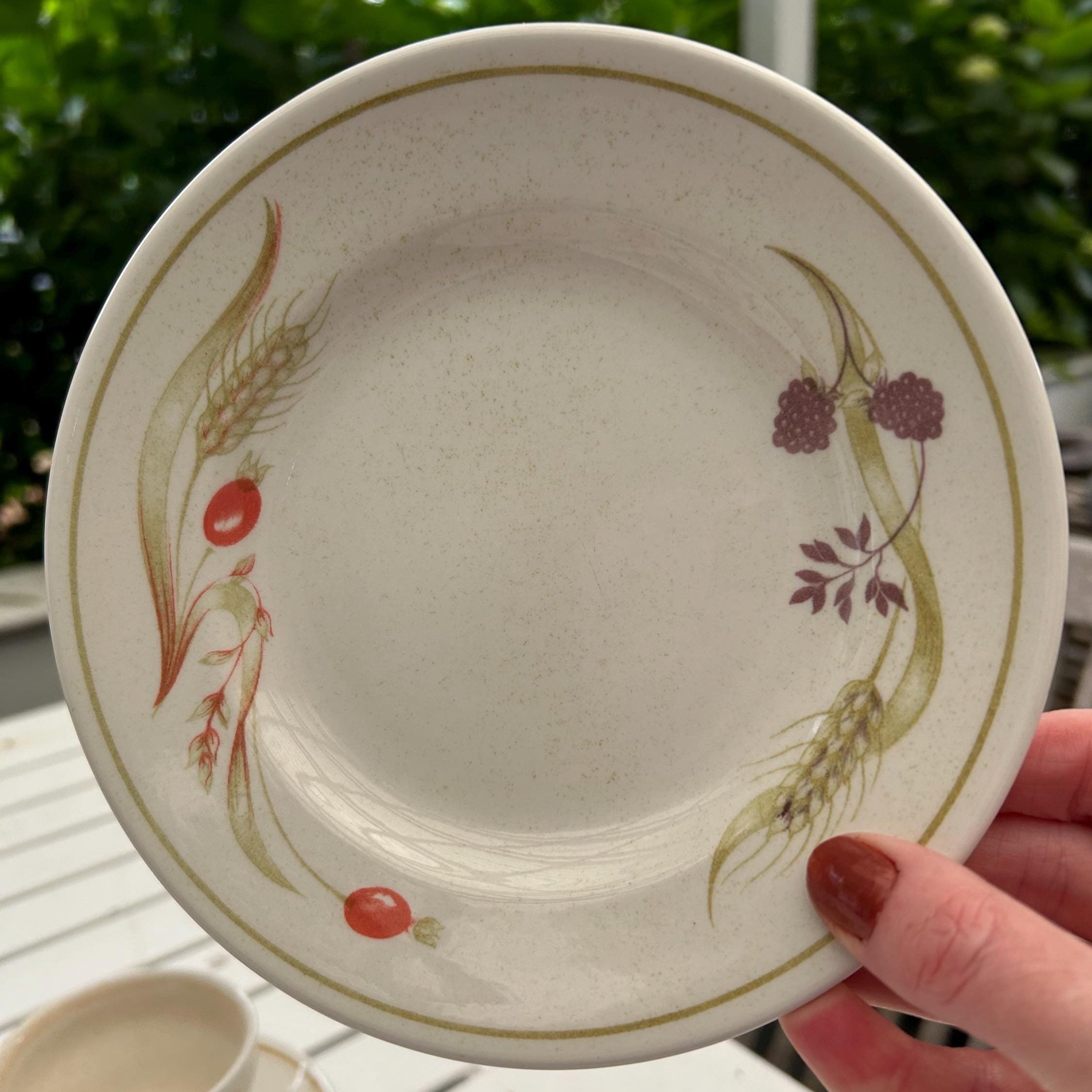 Side plate with Bramble Fayre harvest motif in rustic tones held in hand