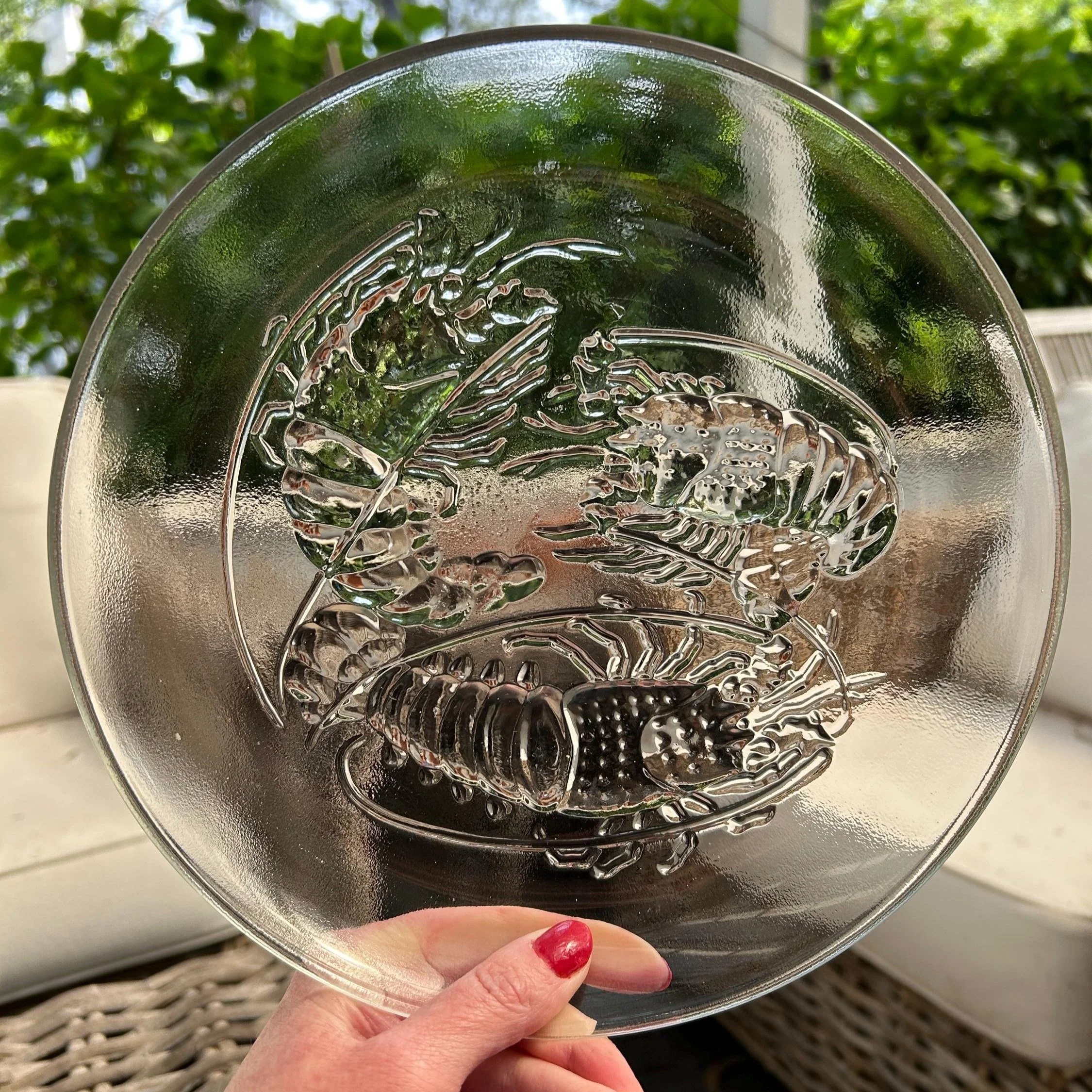 Clear glass vintage crayfish embossed plate held up to light showing lobster design