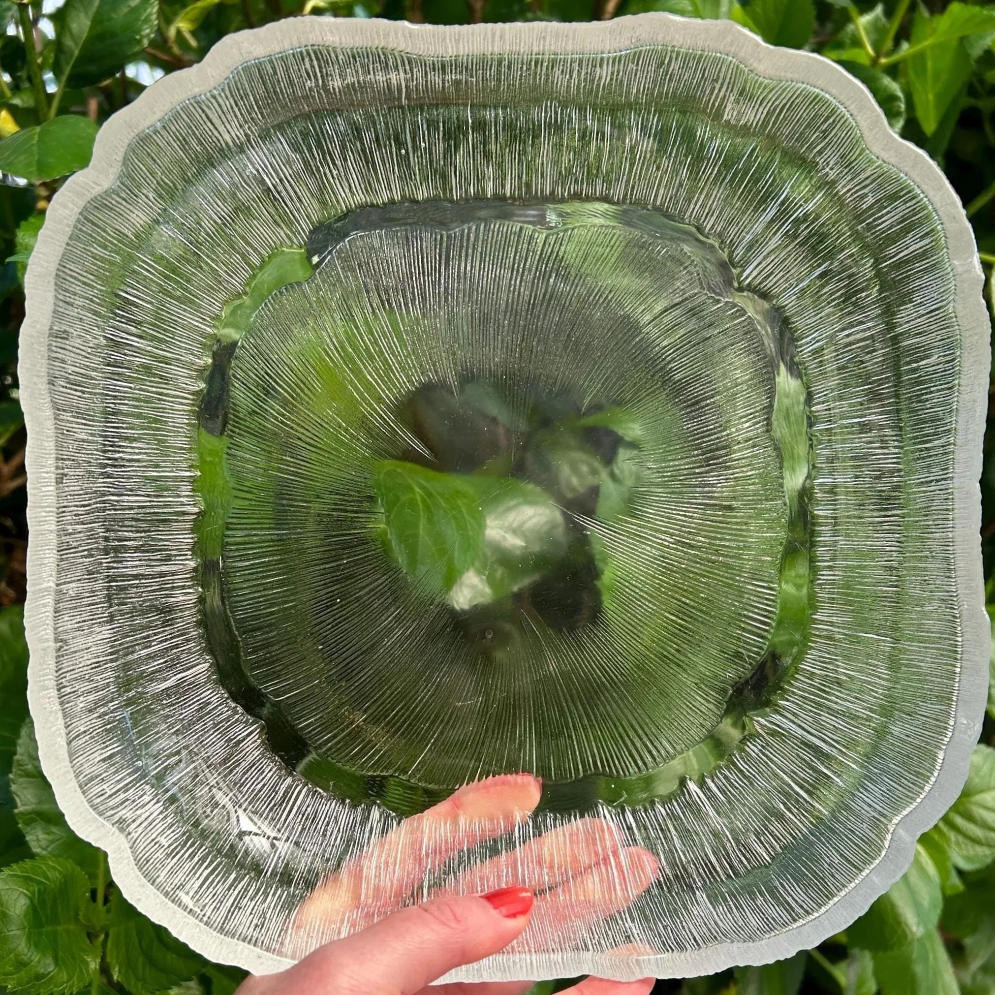 Overhead view of bowl showing full flower/starburst pattern