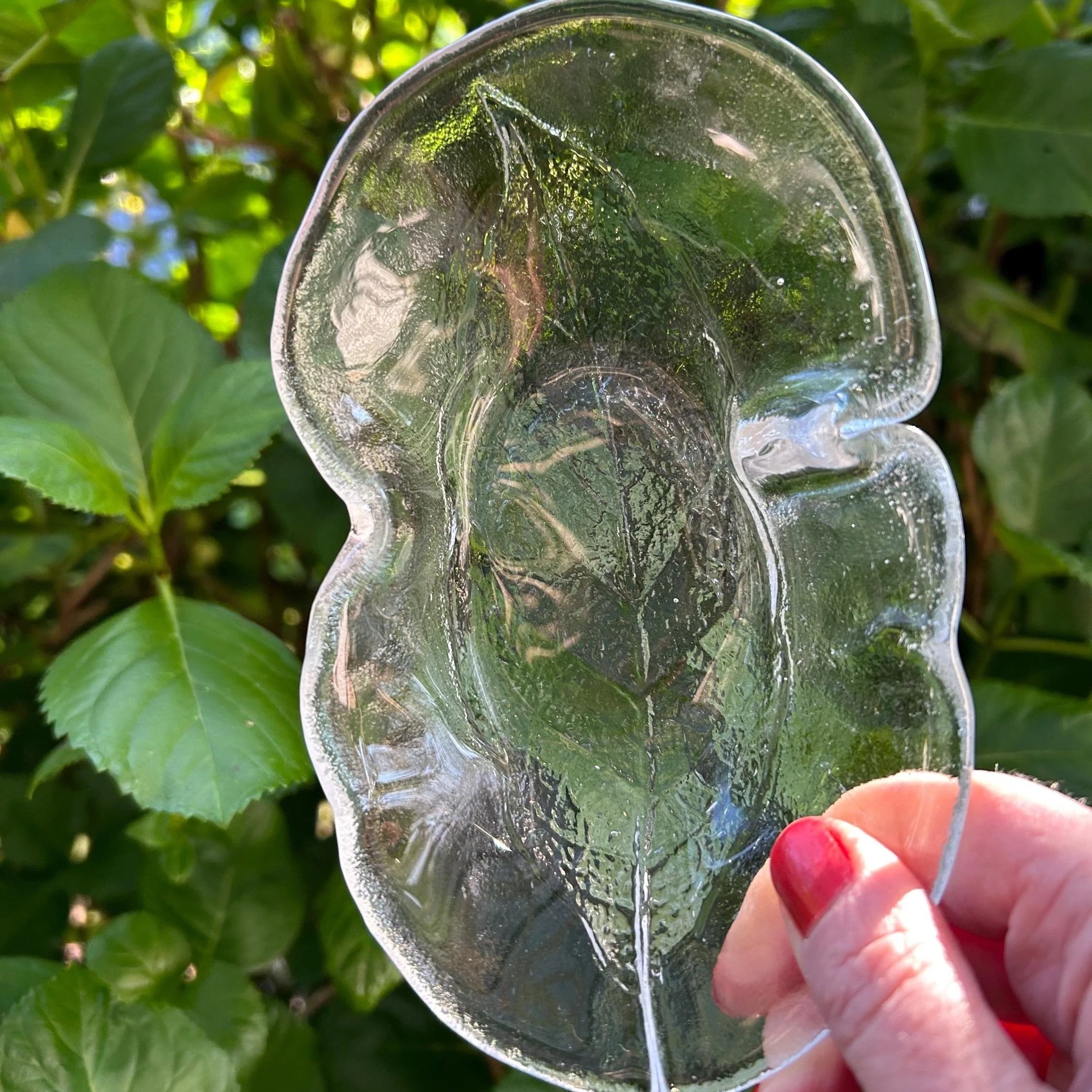 Top-down view of the dish highlighting natural, avocado-like shape