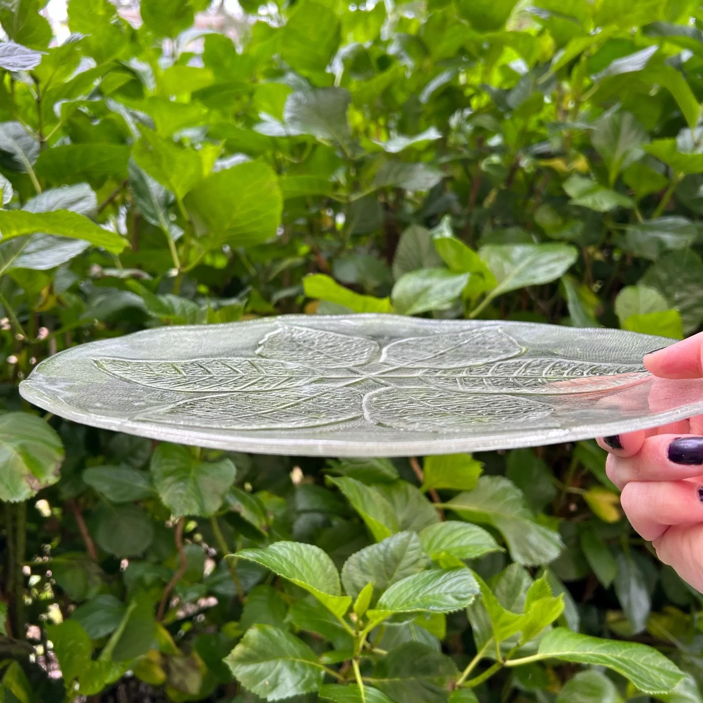 Side profile showing plate’s thickness and uneven, curved edge