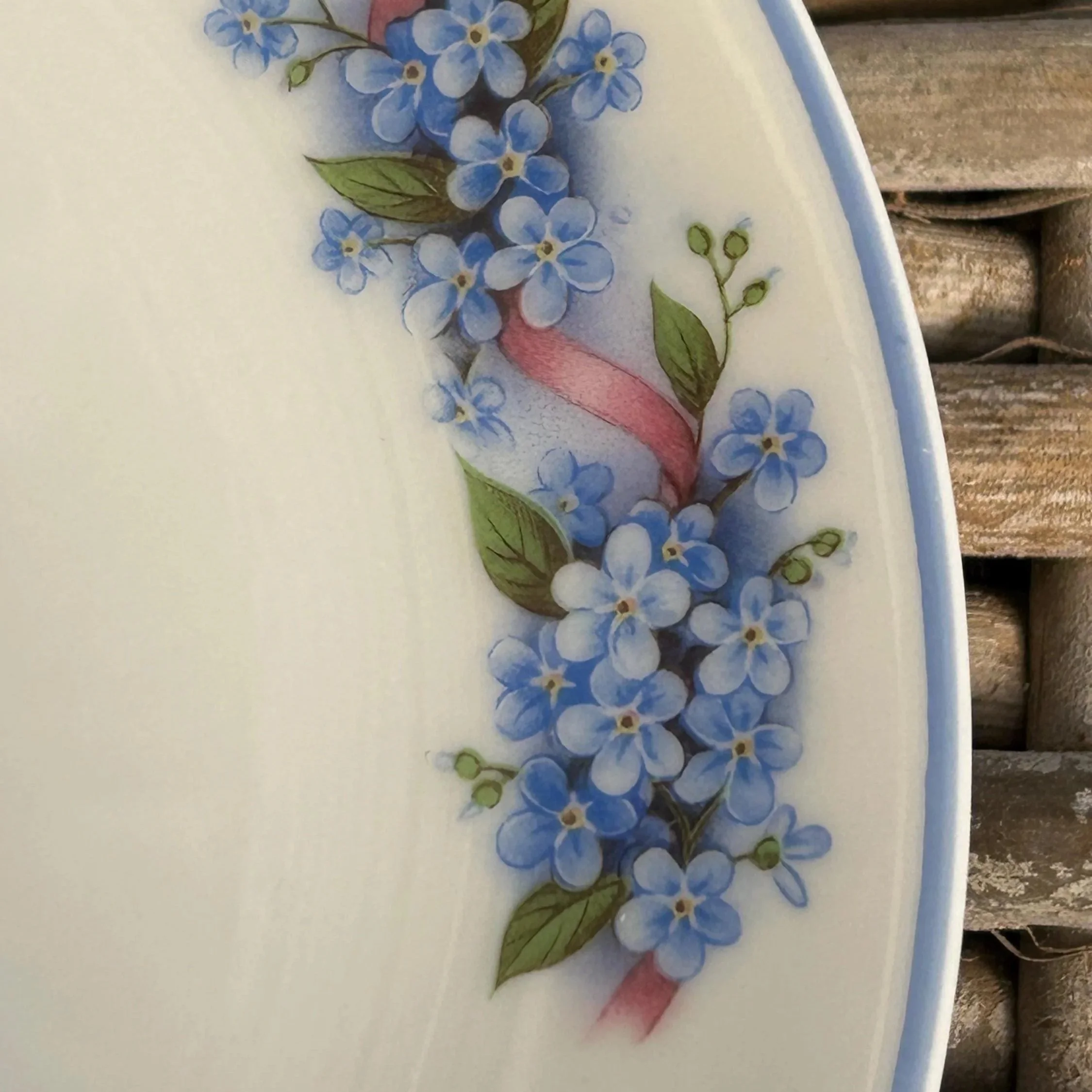 Close-up of forget-me-not detail and blue rim